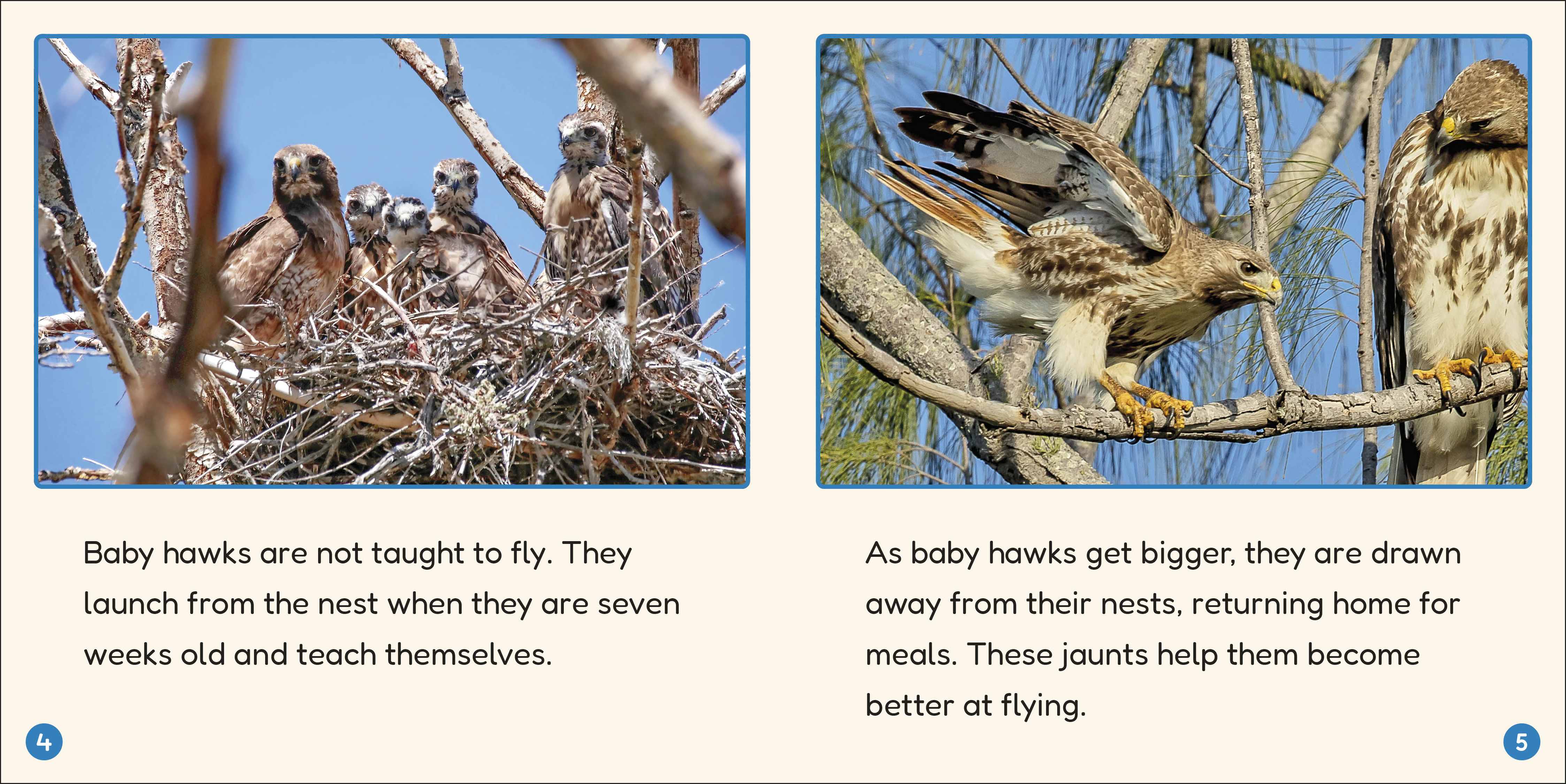 additional book photo
