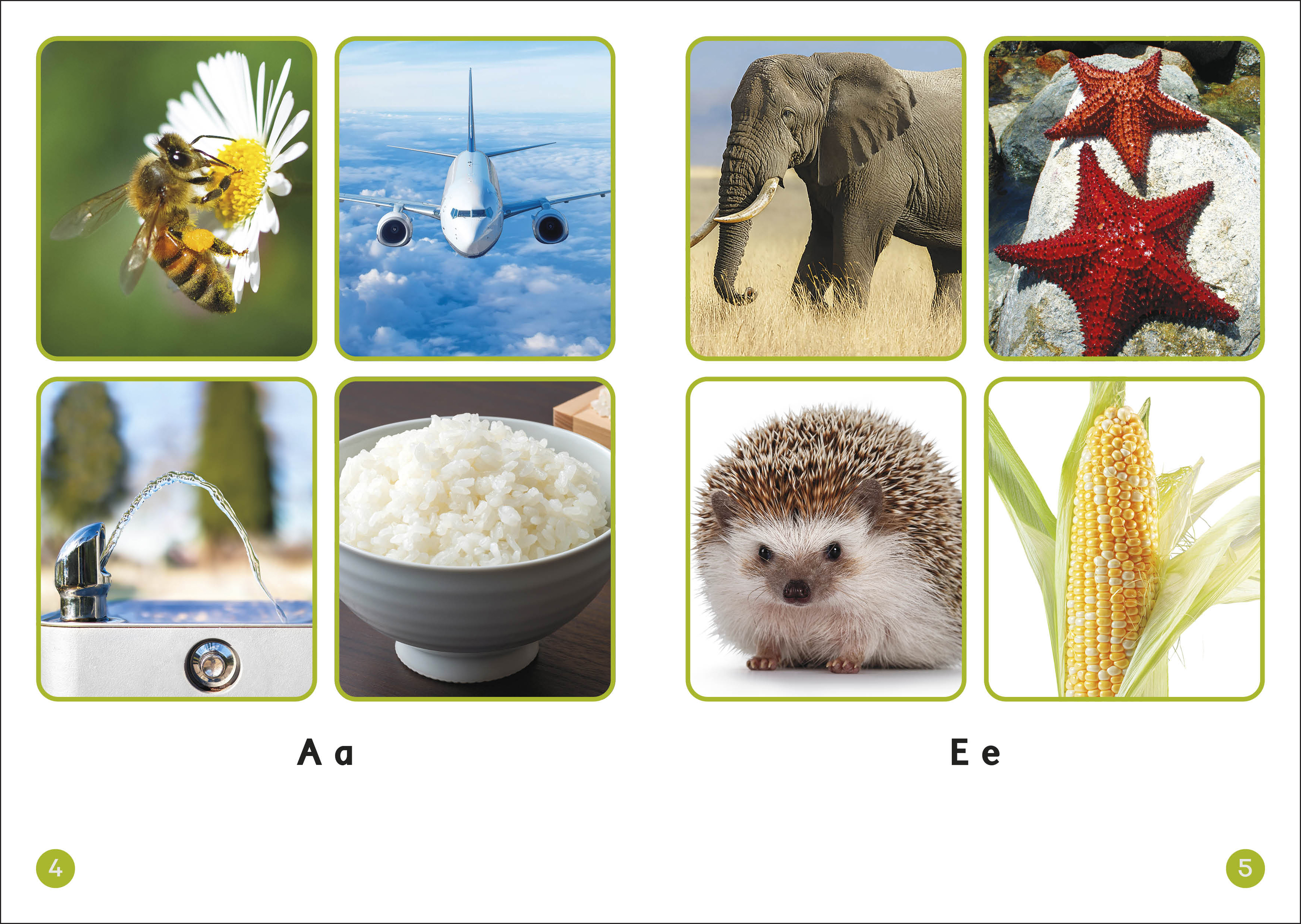 additional book photo