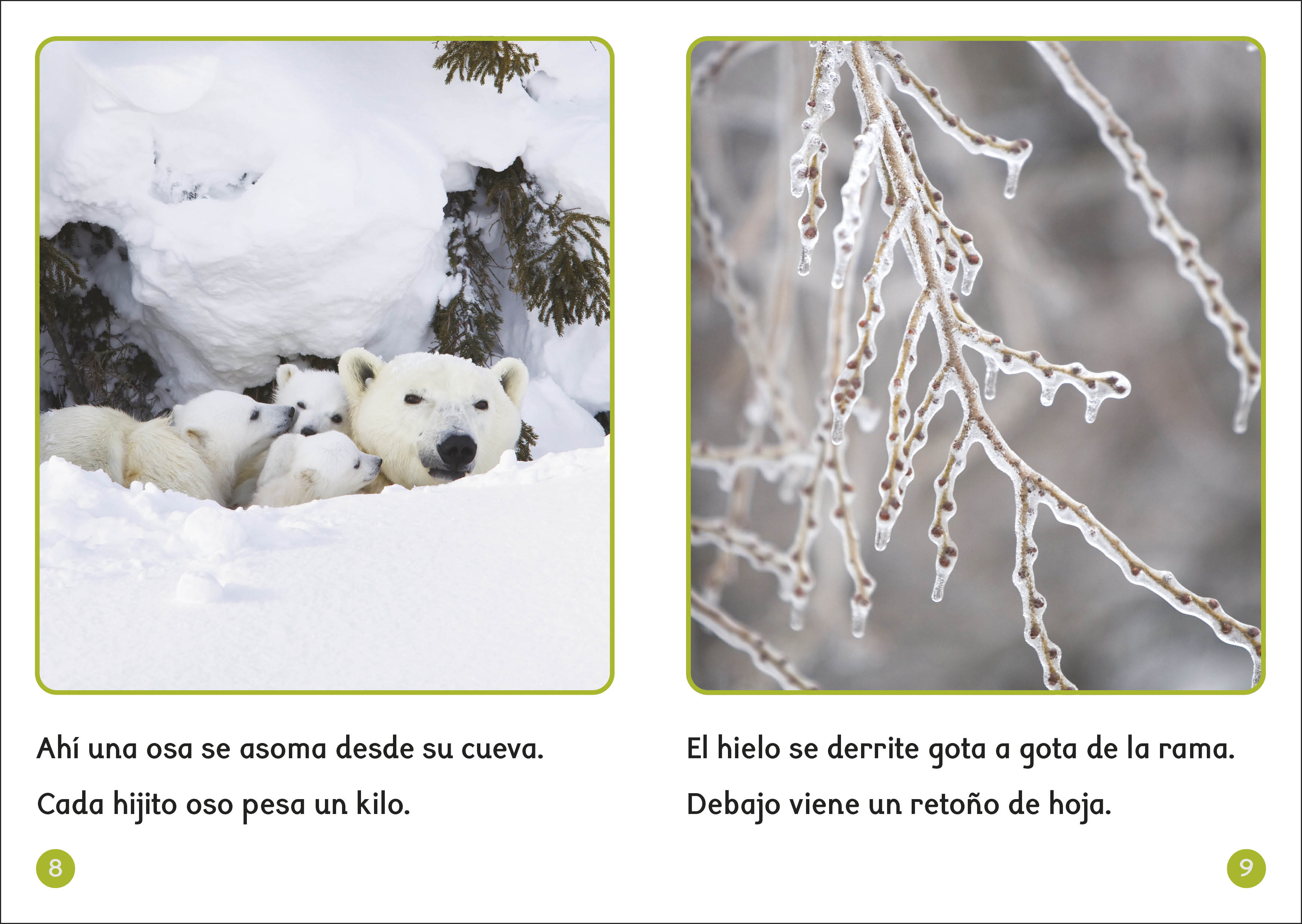 additional book photo