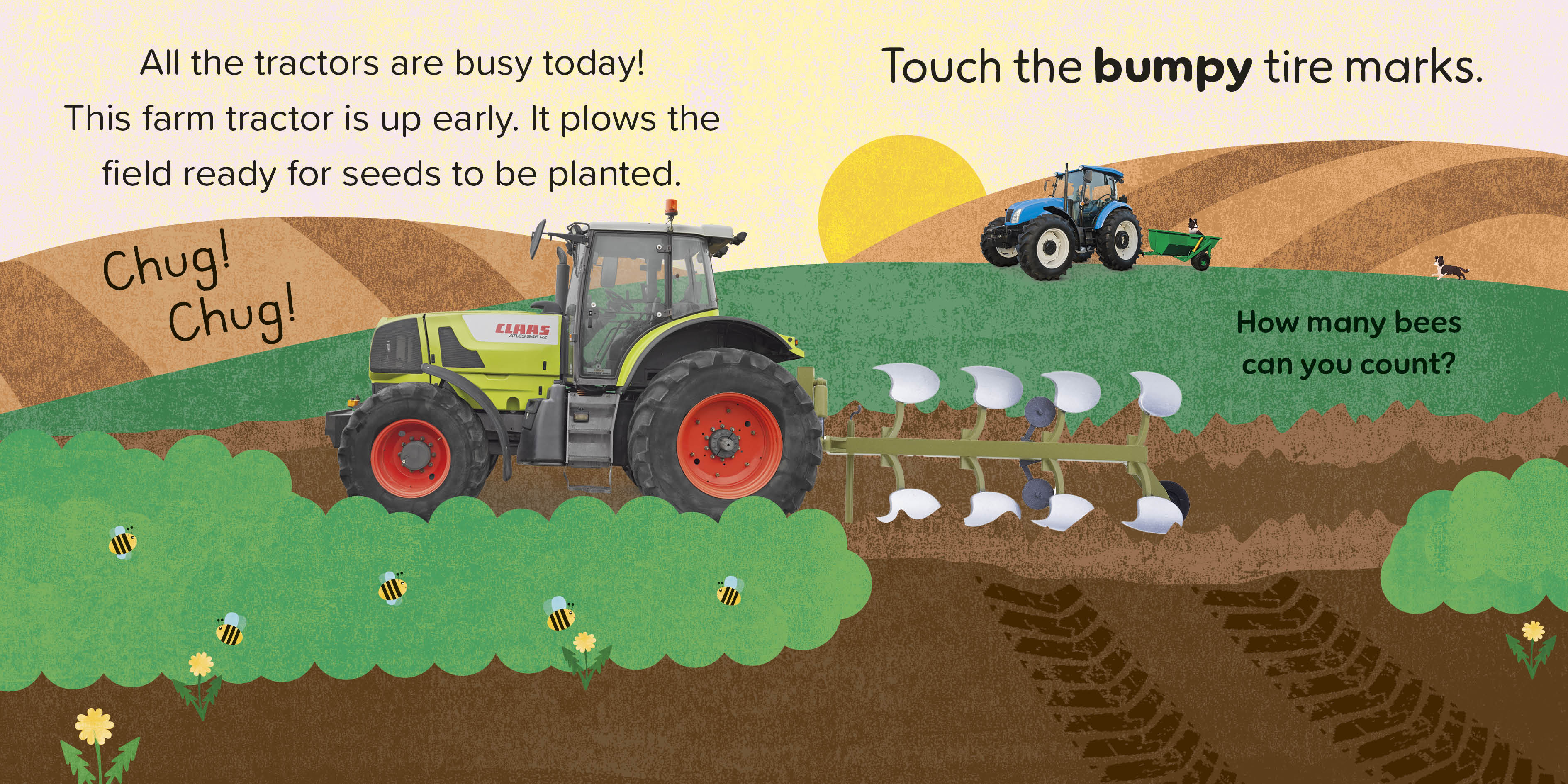 additional book photo