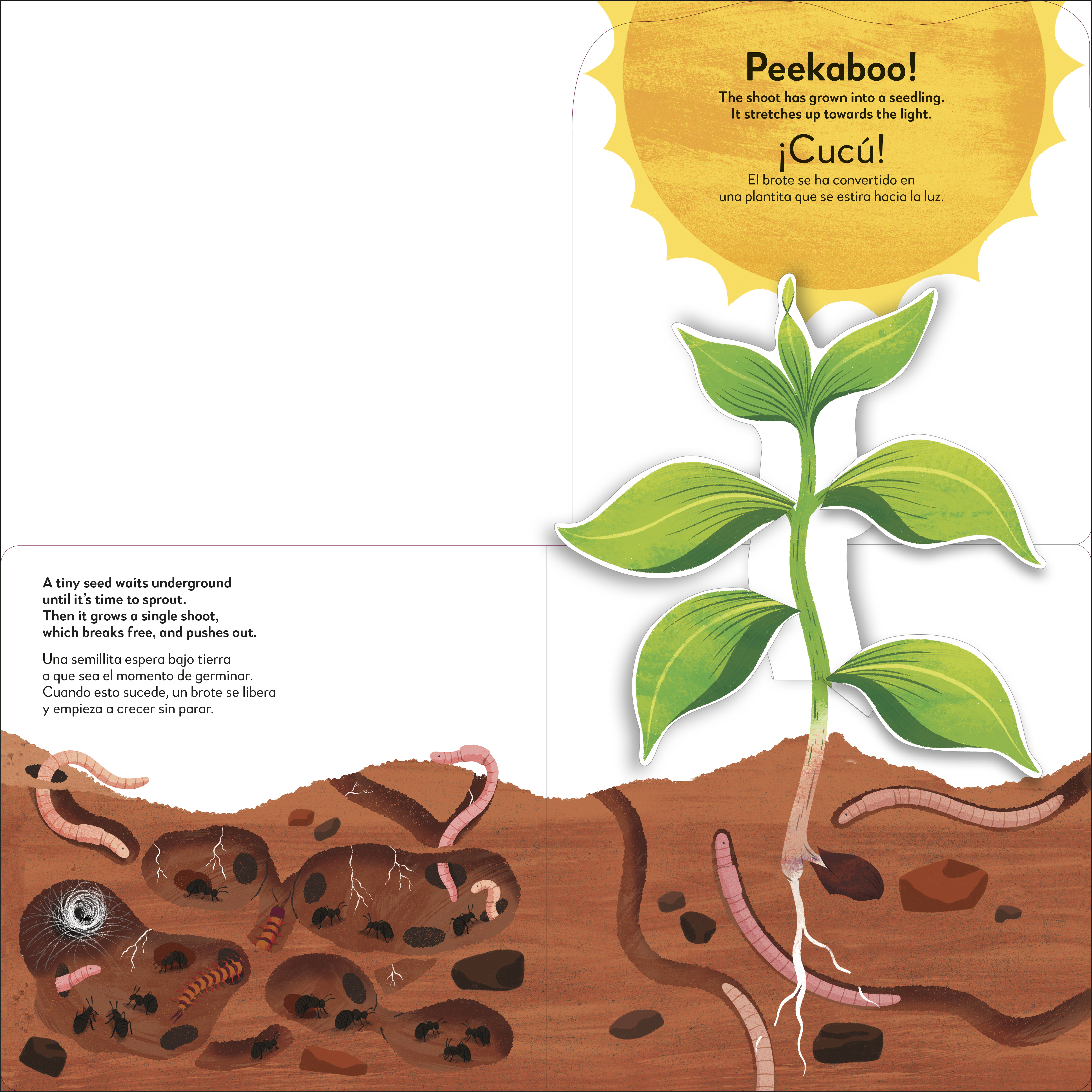additional book photo