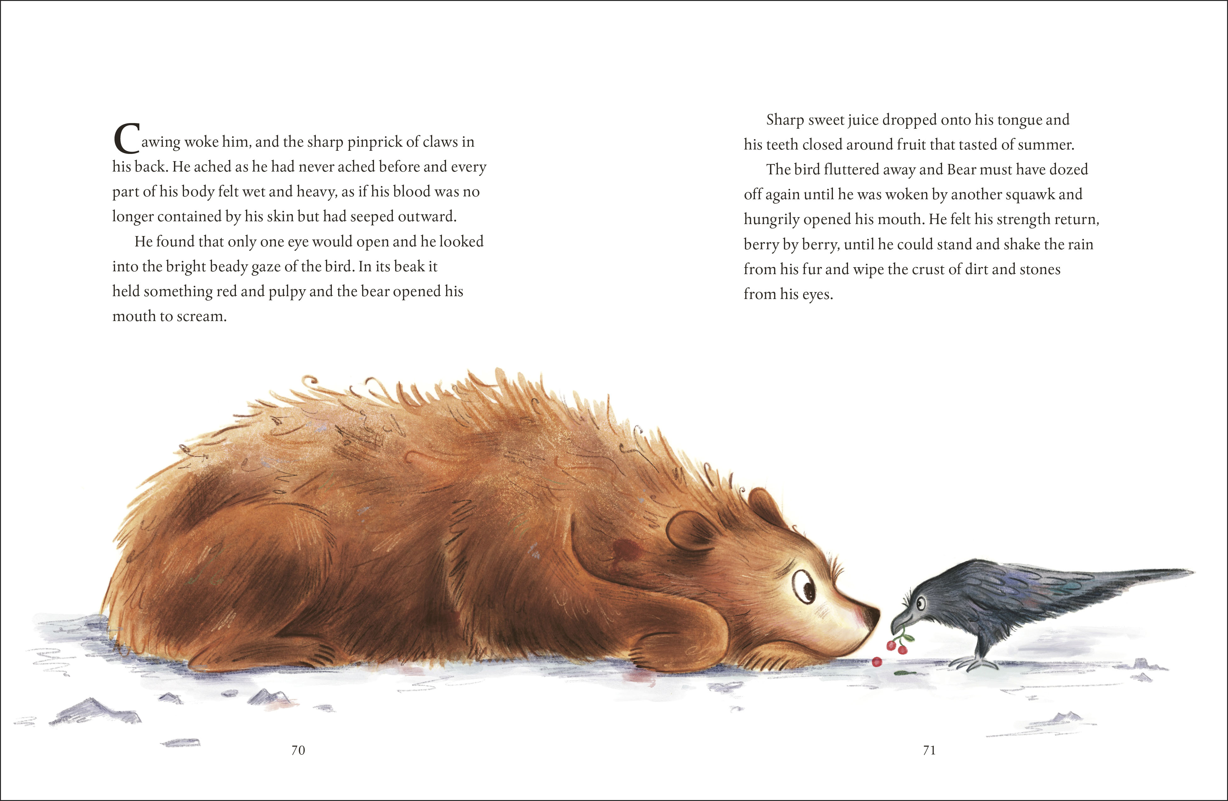 additional book photo