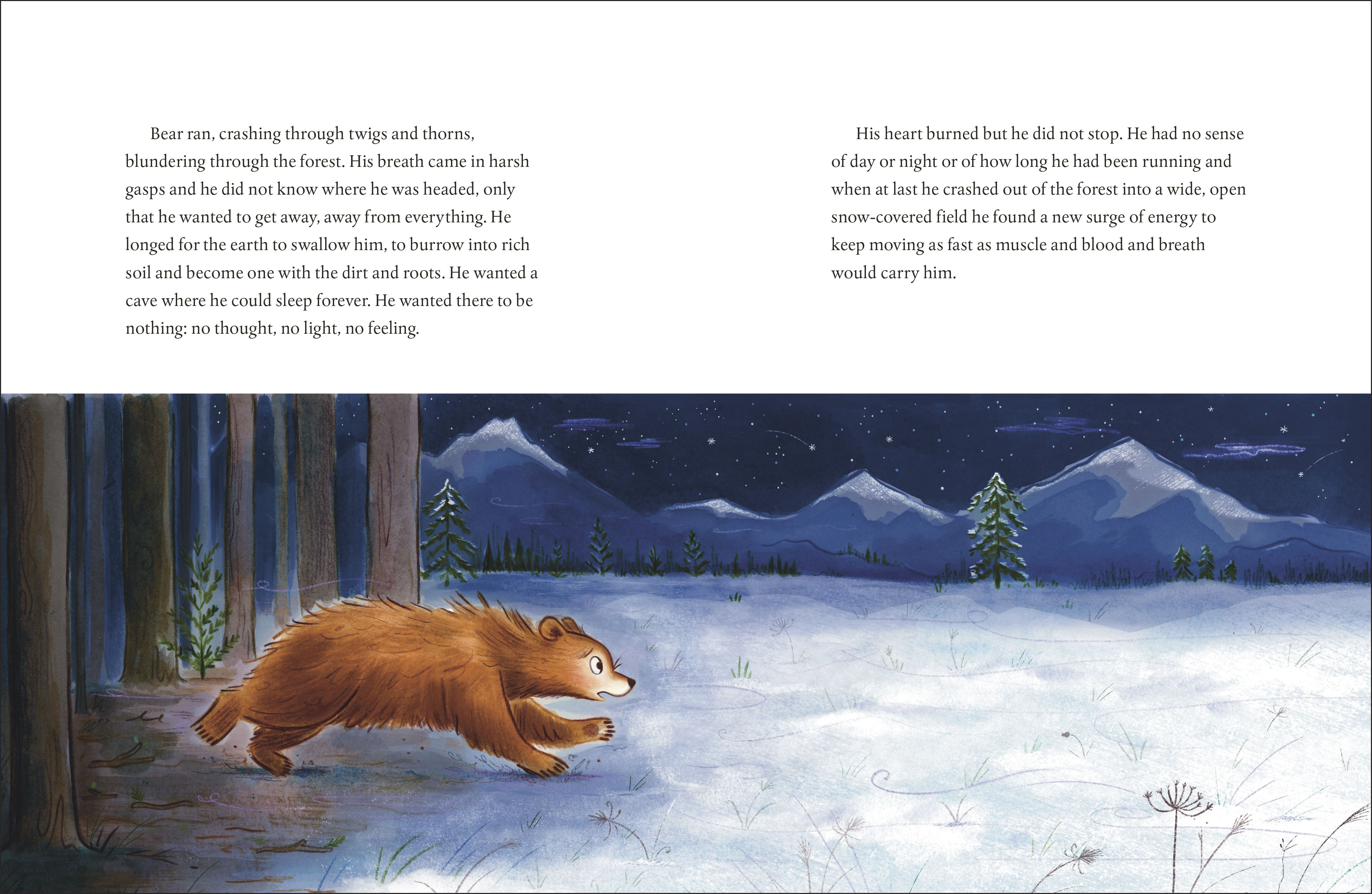 additional book photo