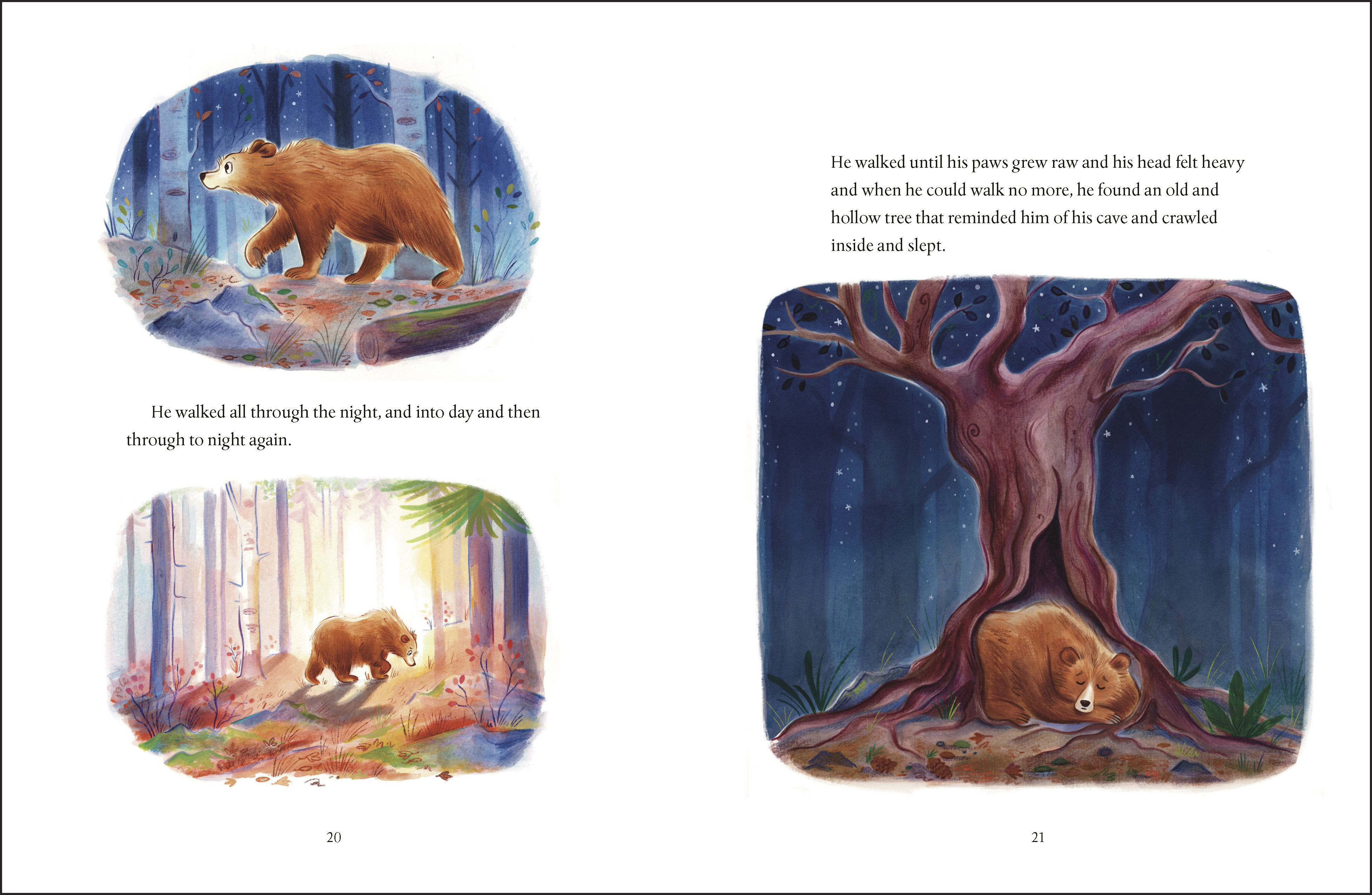 additional book photo