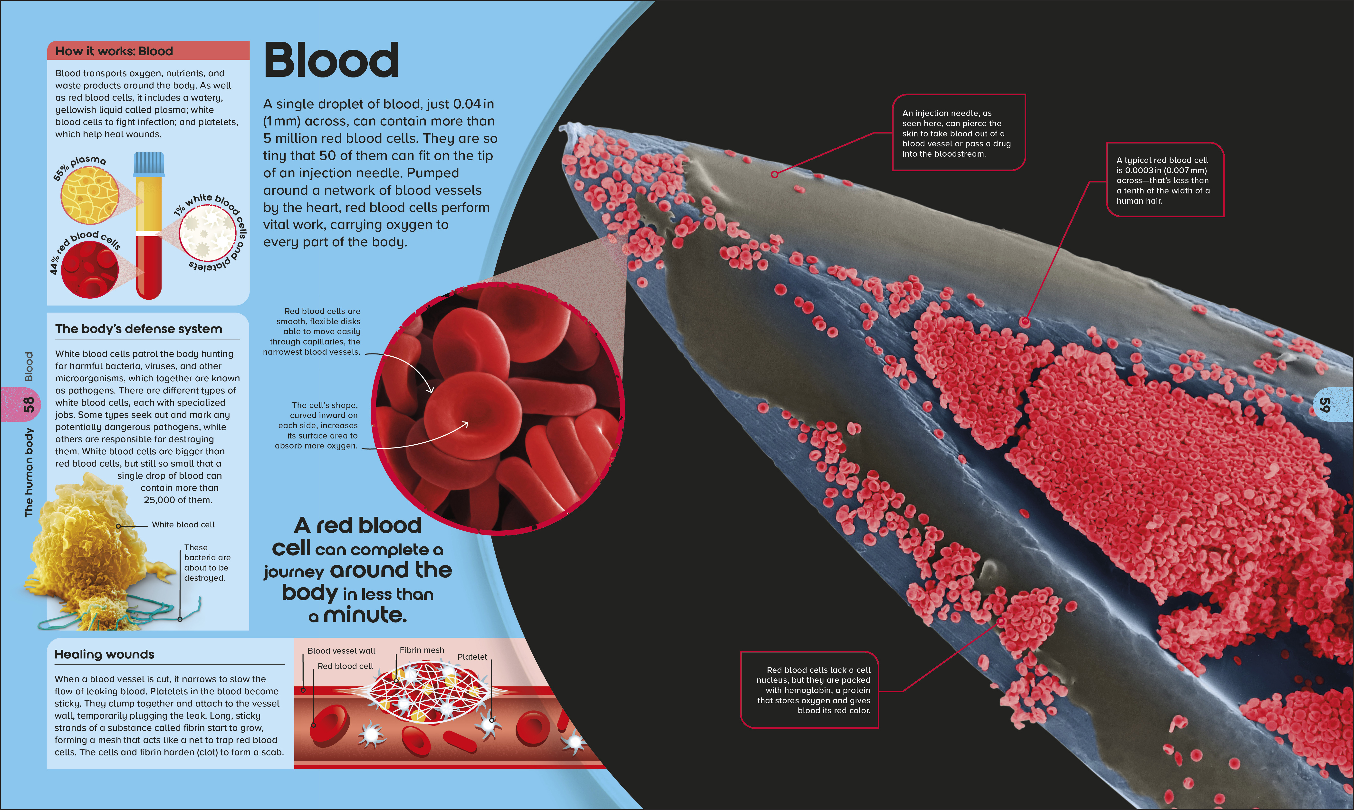 additional book photo