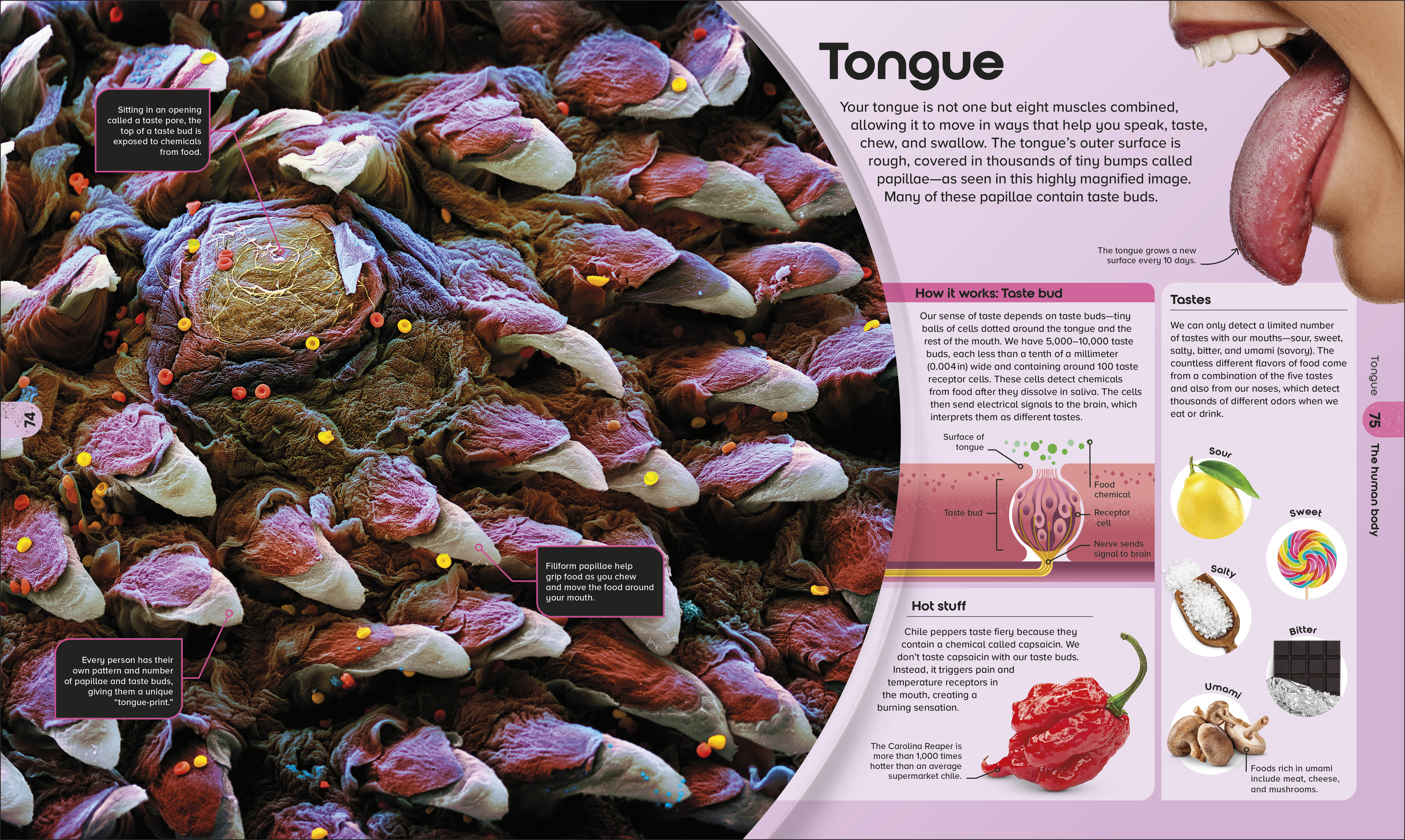 additional book photo