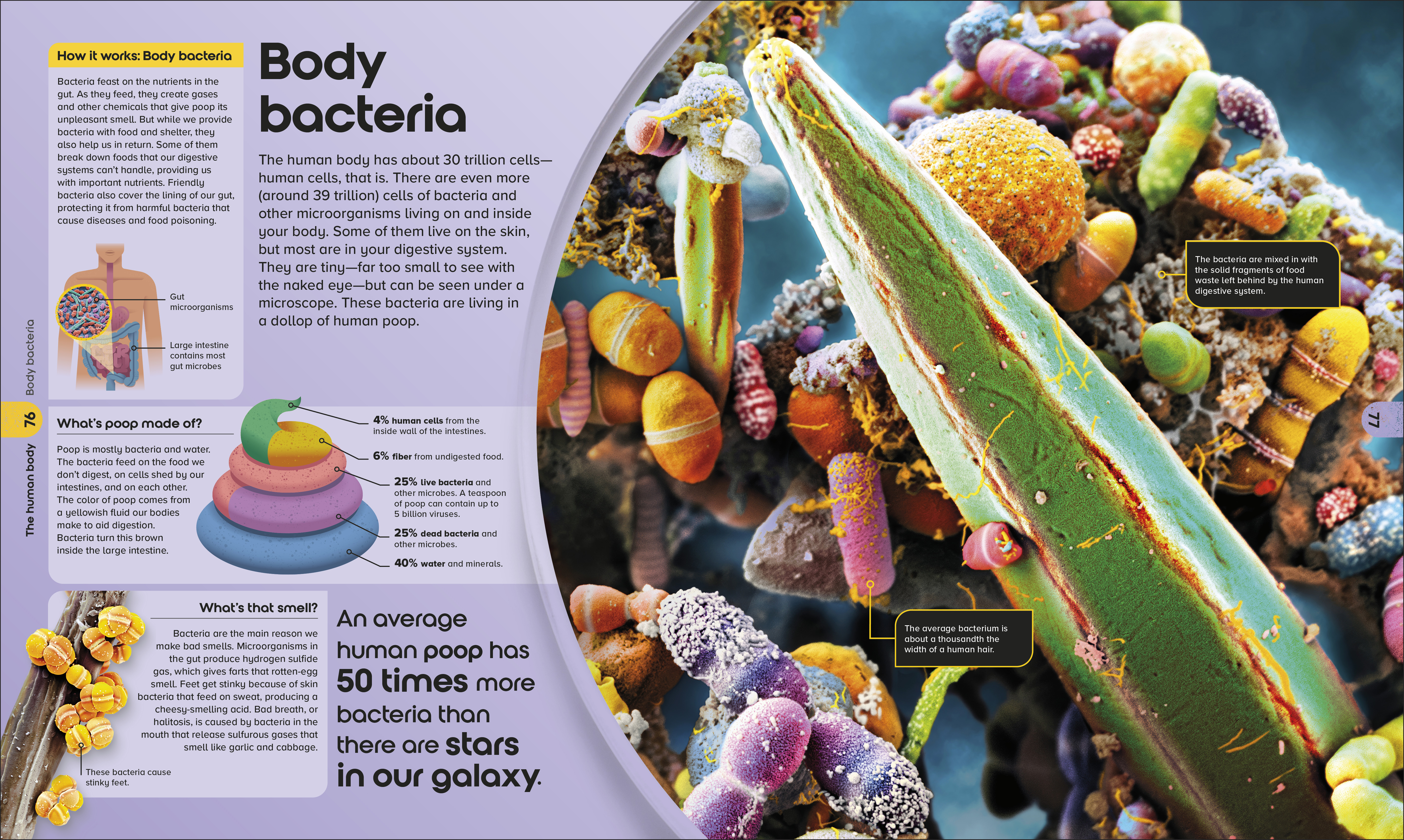 additional book photo