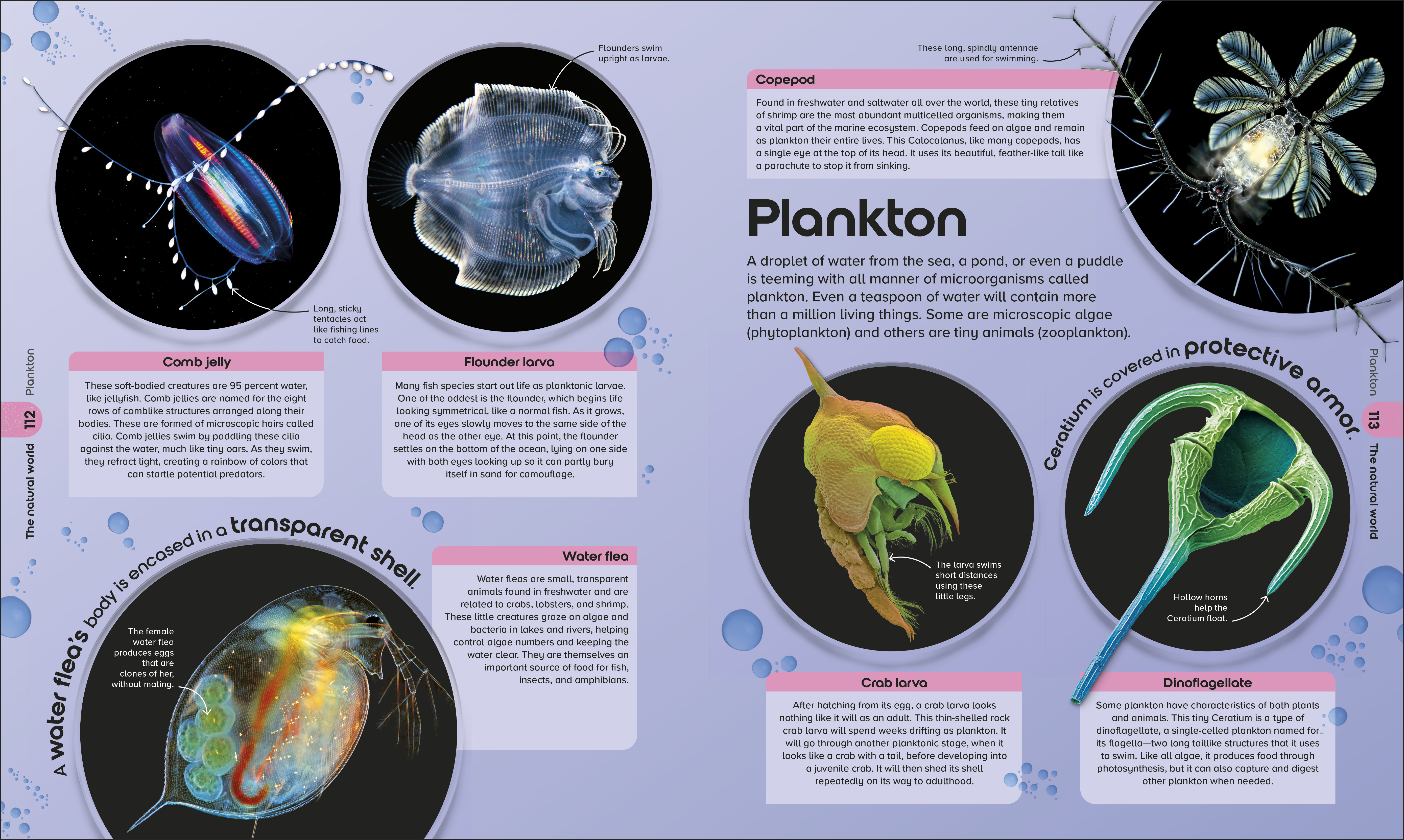 additional book photo