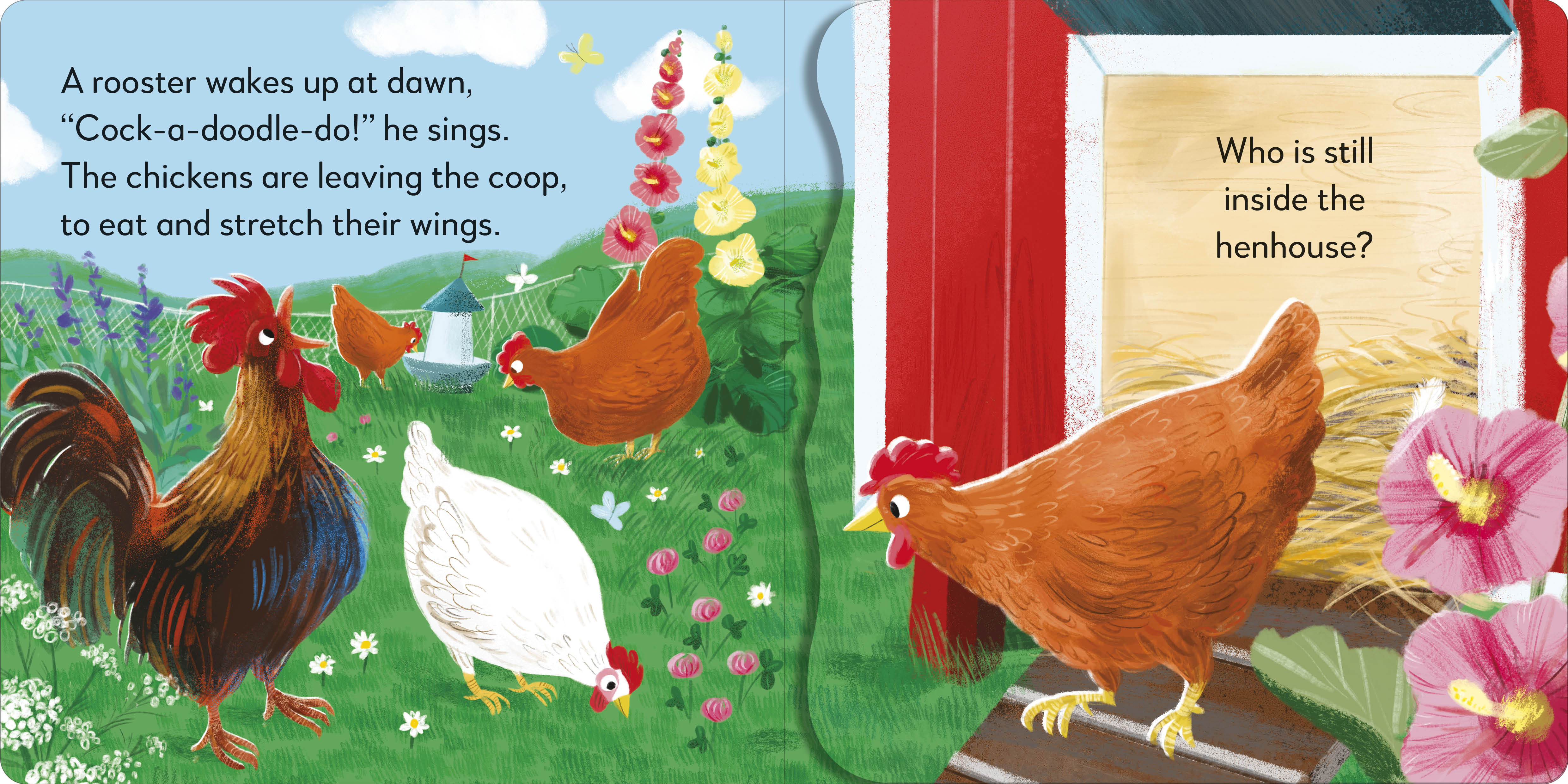 additional book photo