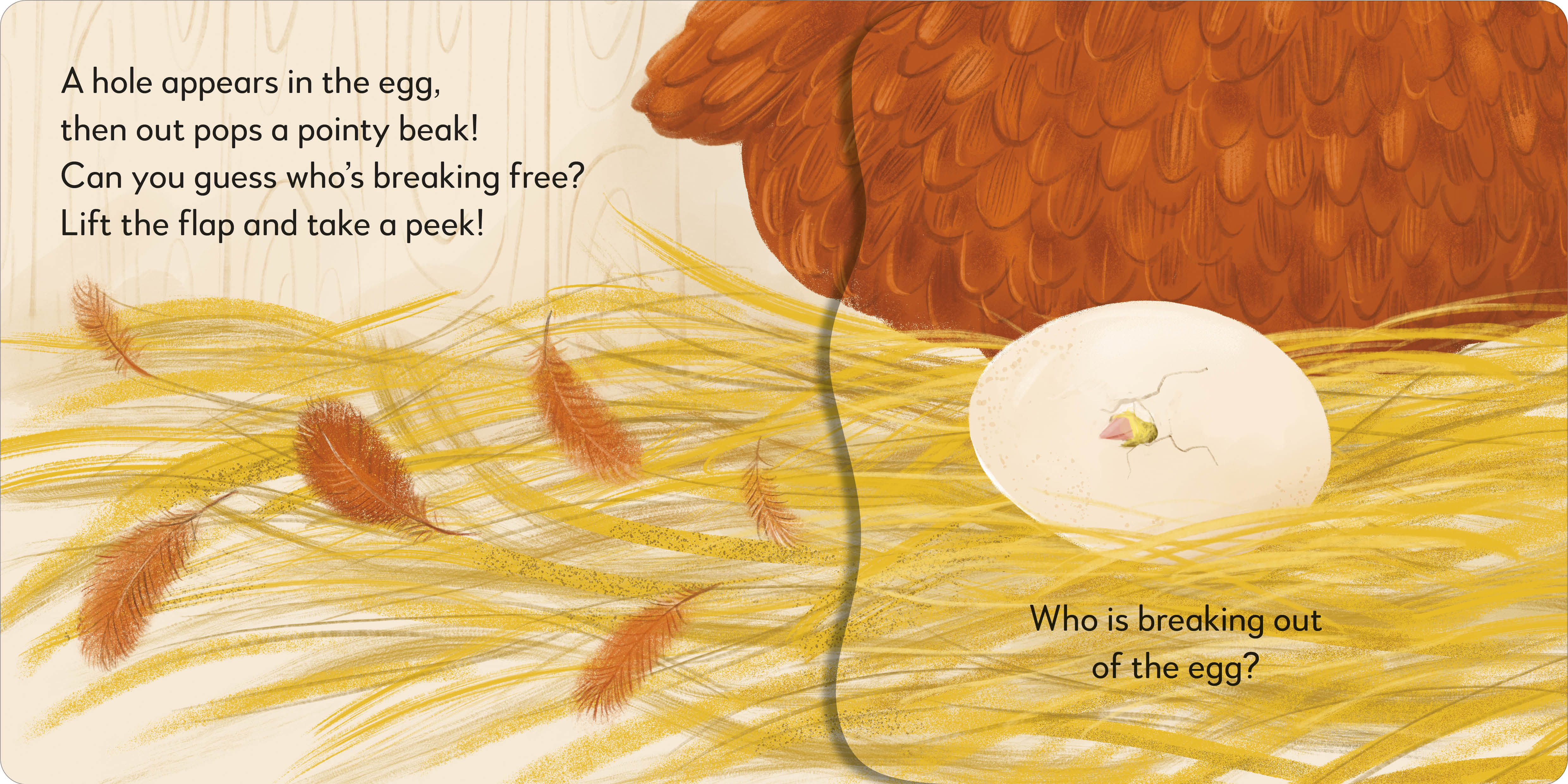 additional book photo