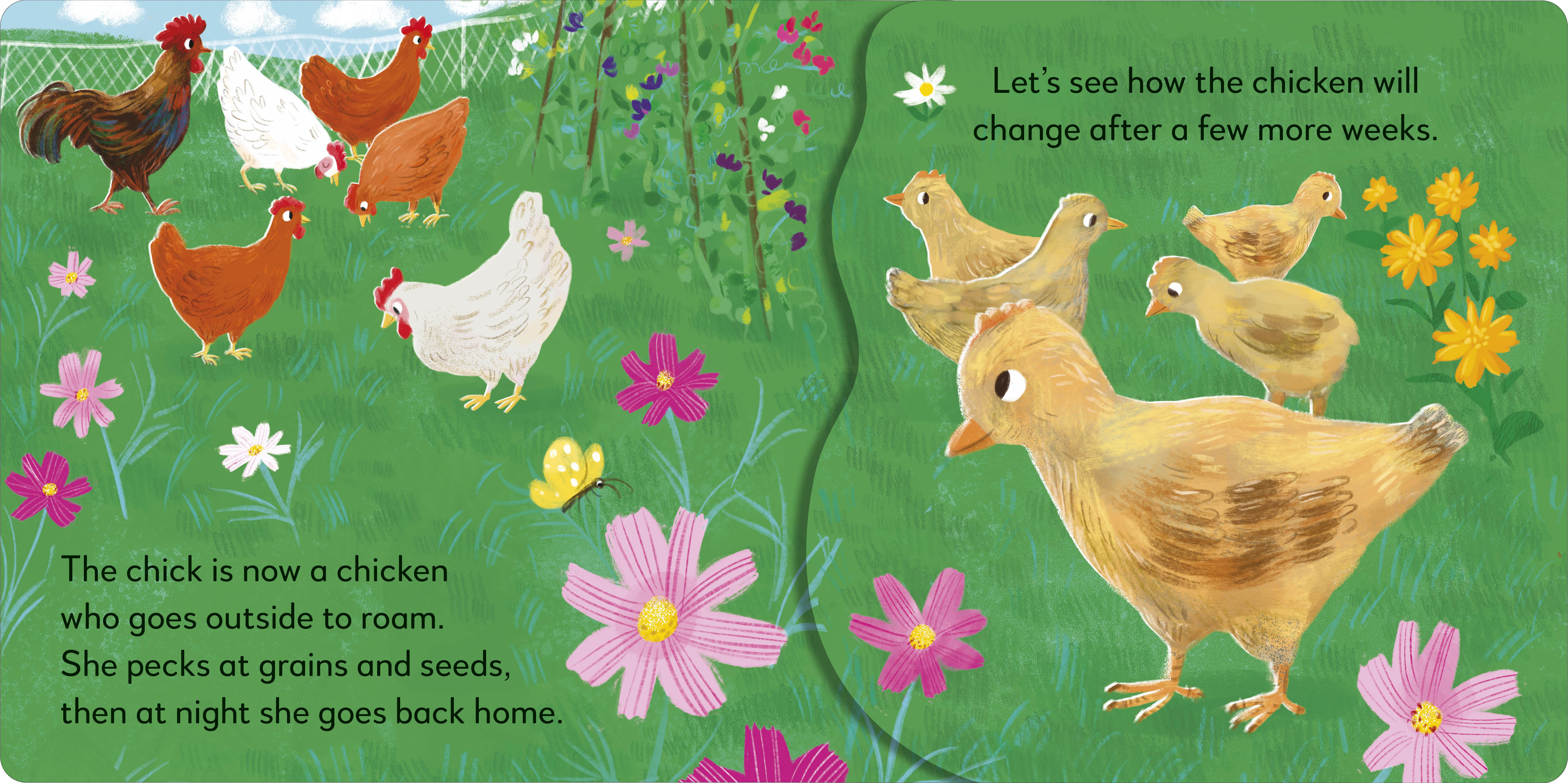 additional book photo
