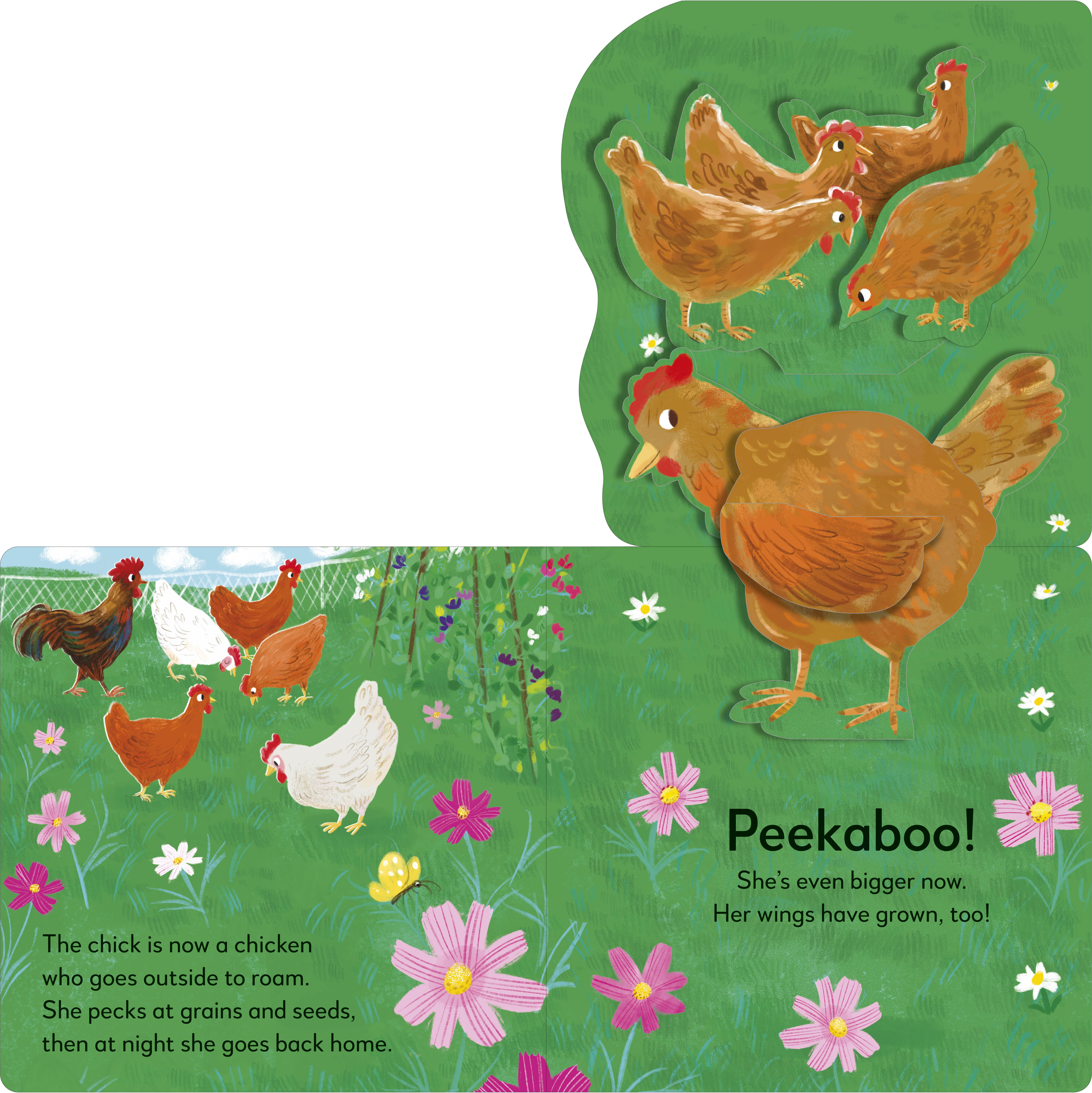 additional book photo