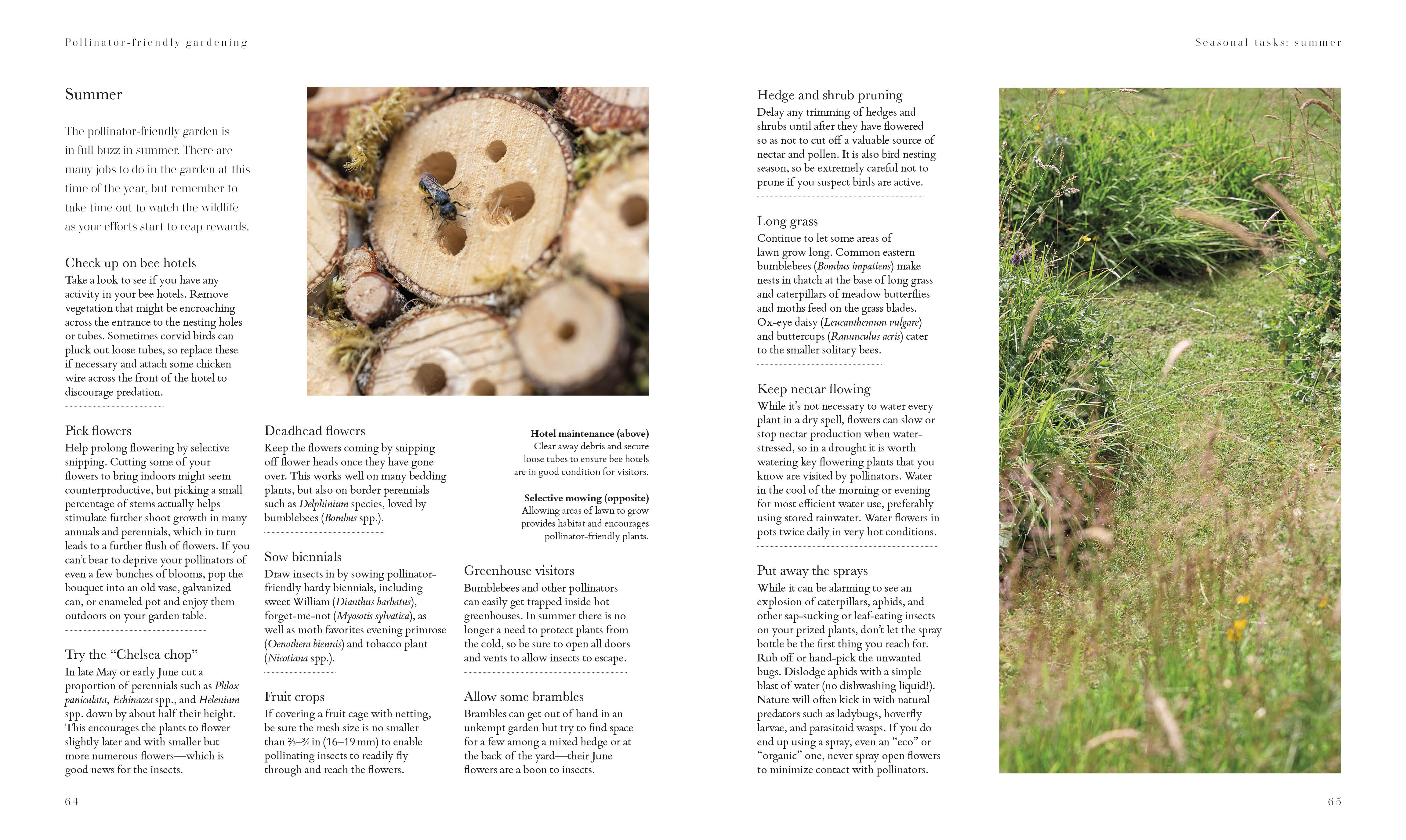 additional book photo