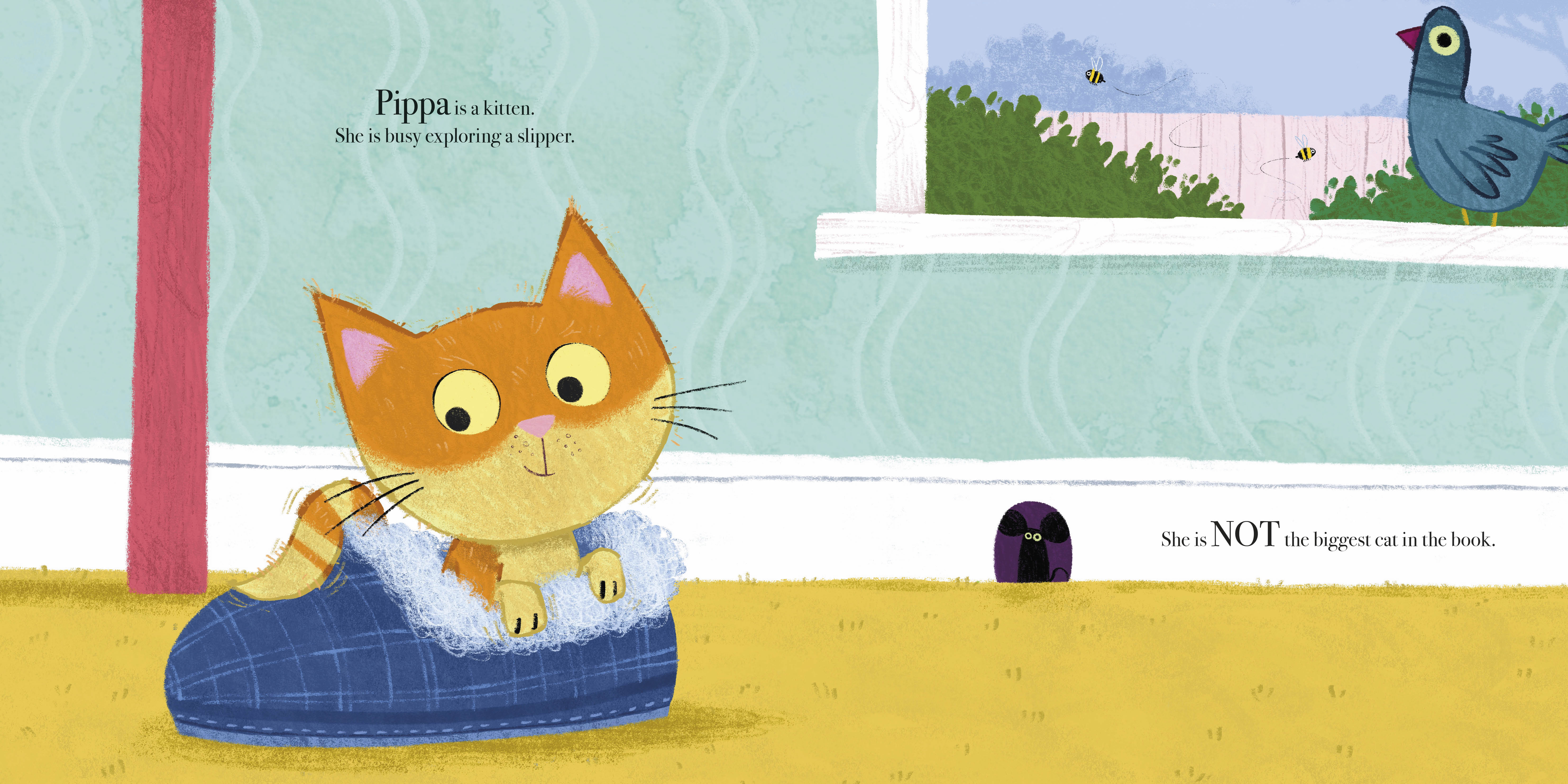 additional book photo