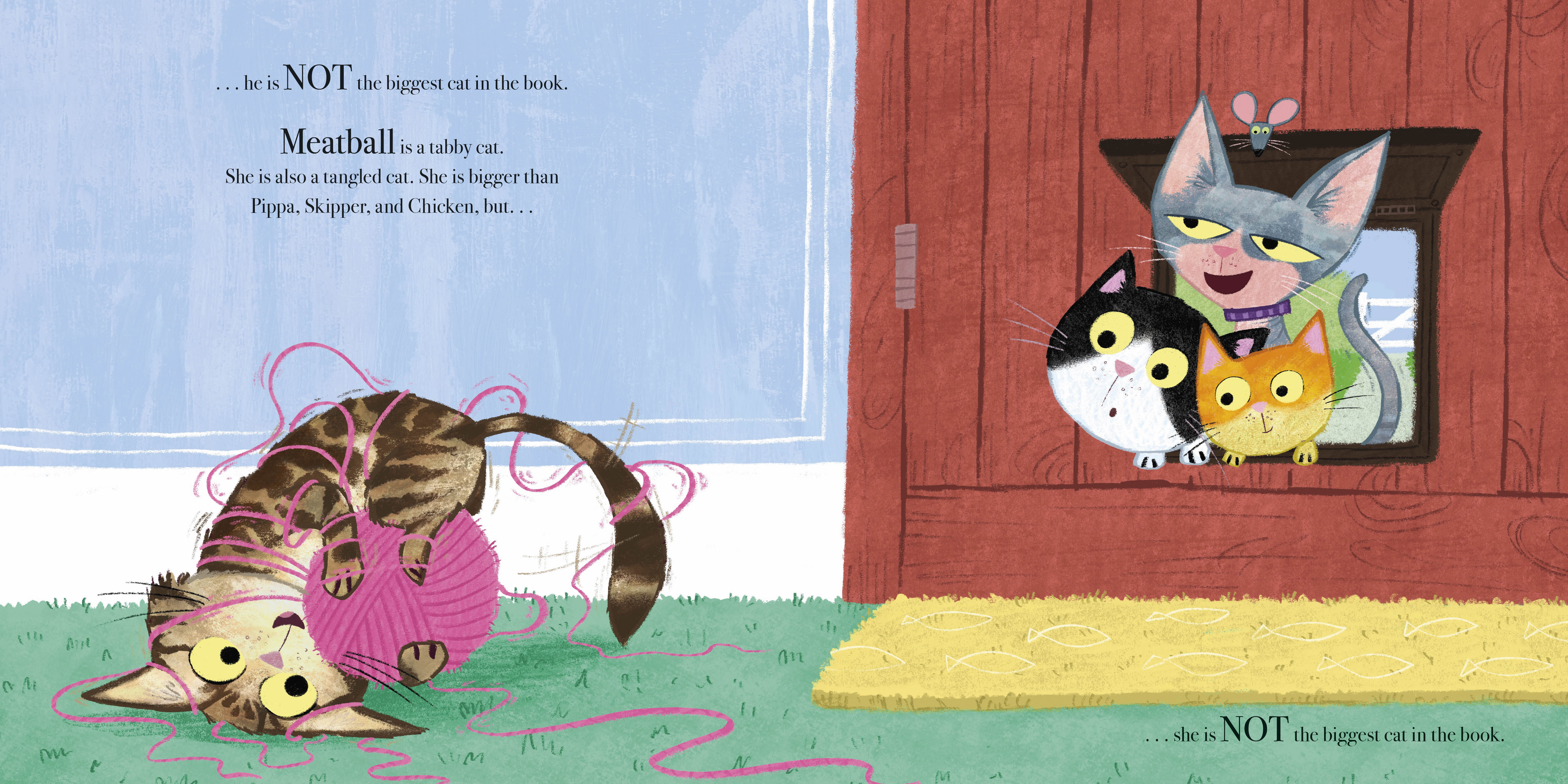 additional book photo