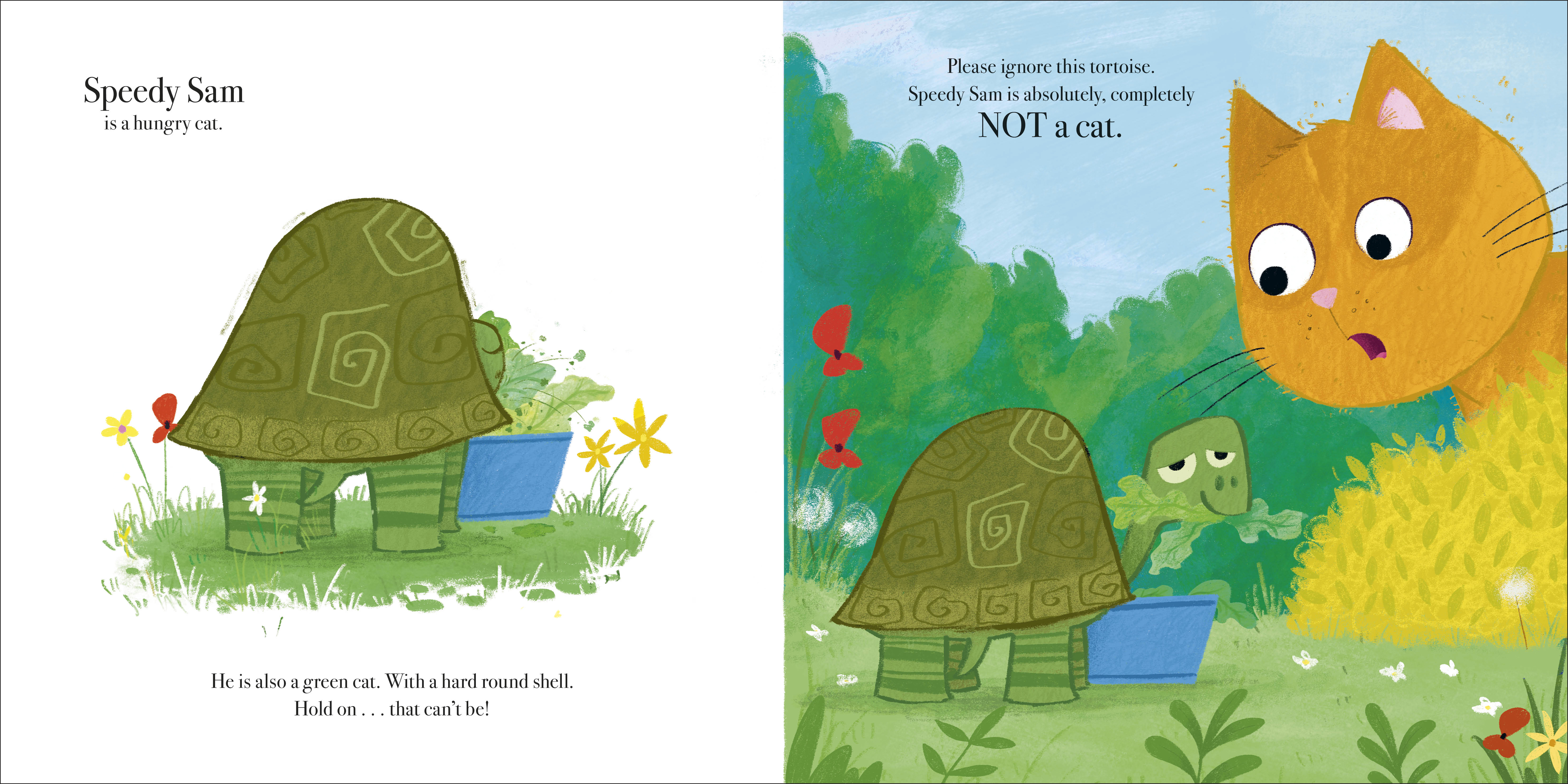 additional book photo