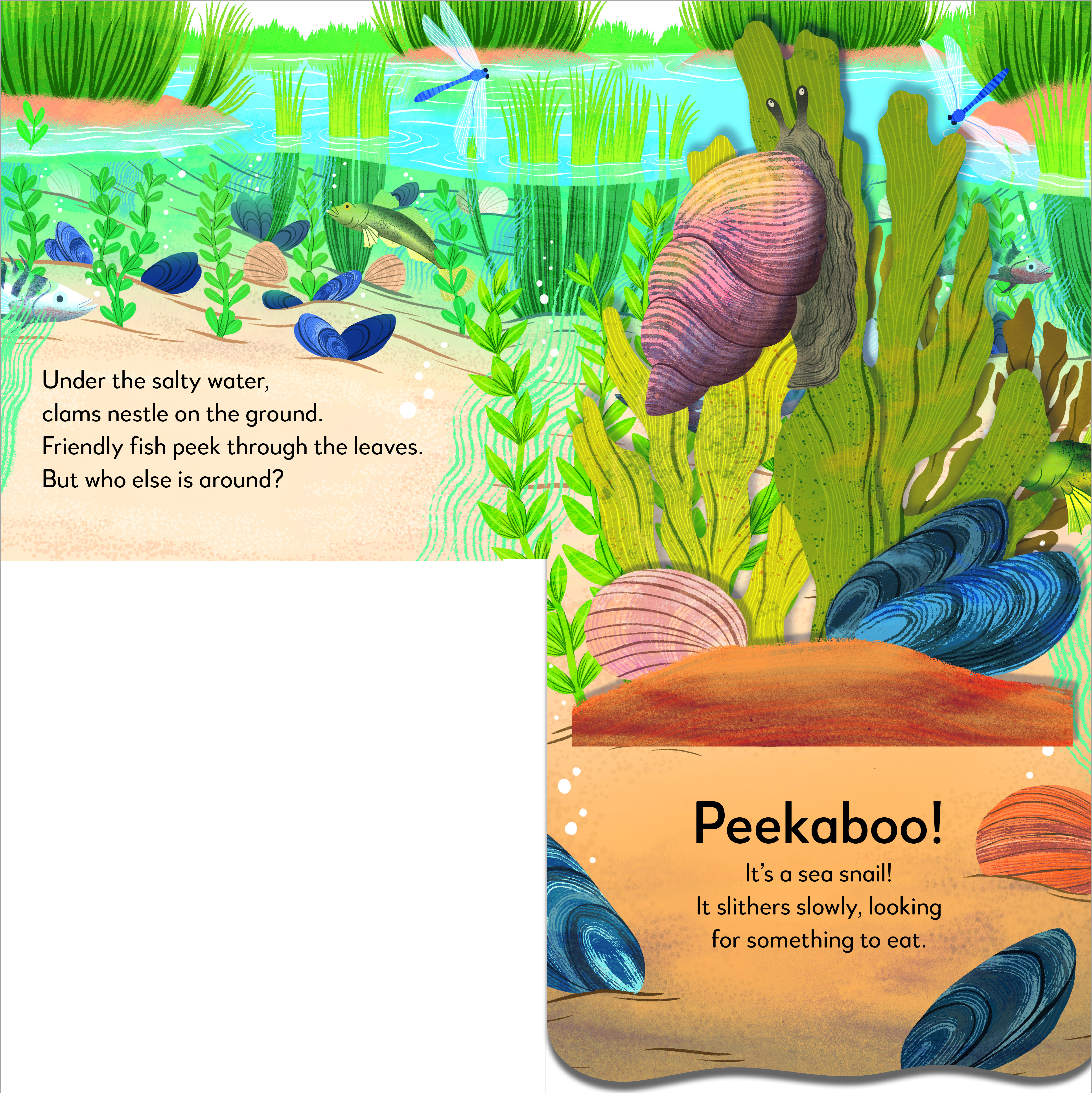 additional book photo