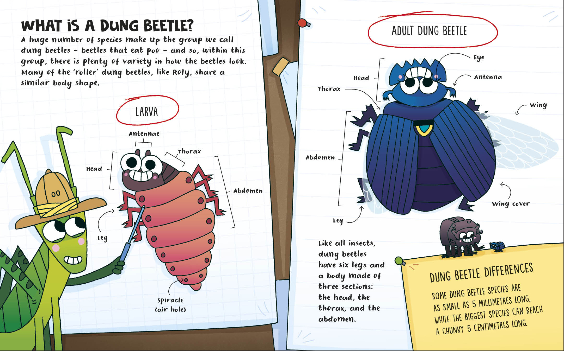 additional book photo