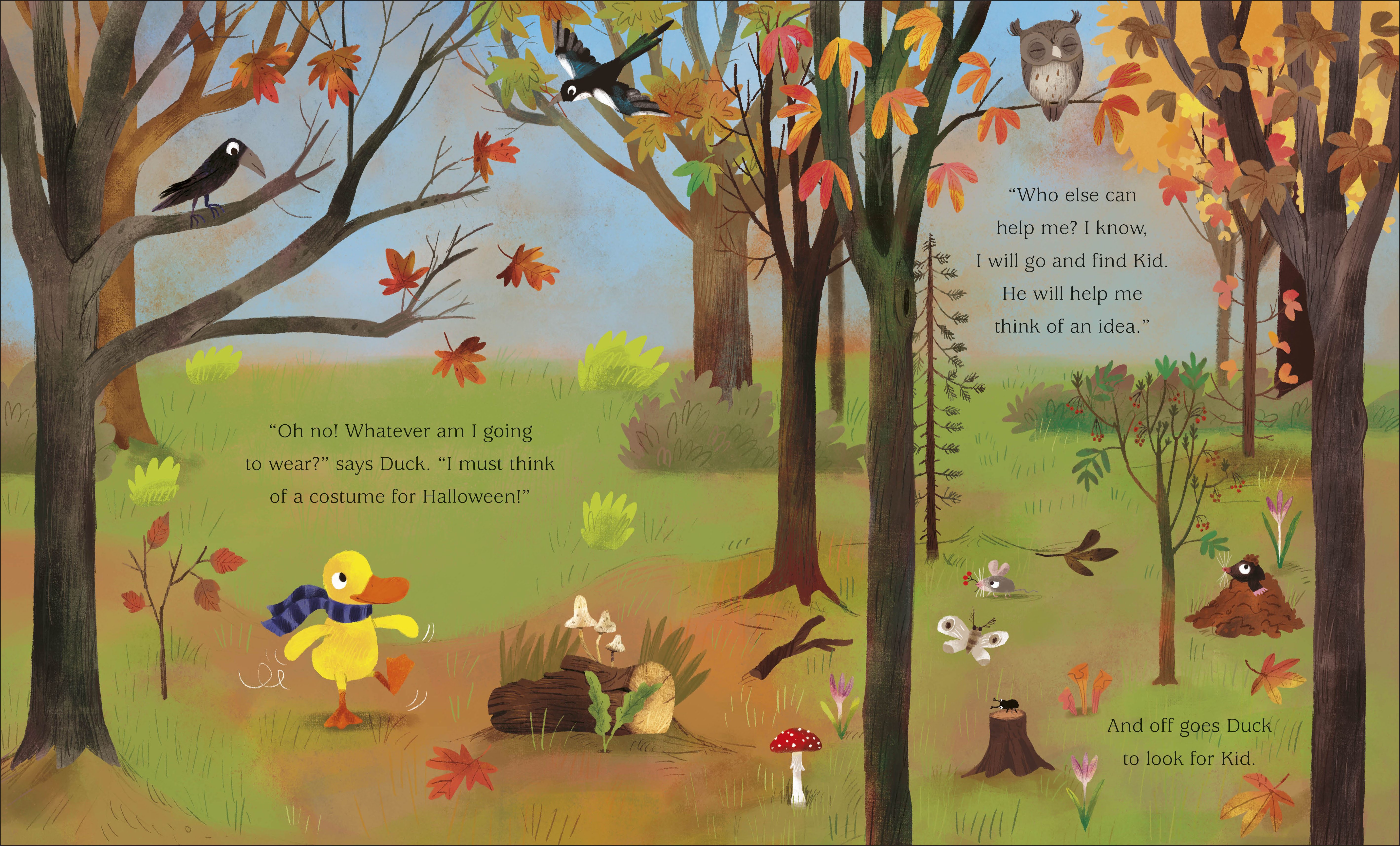 additional book photo