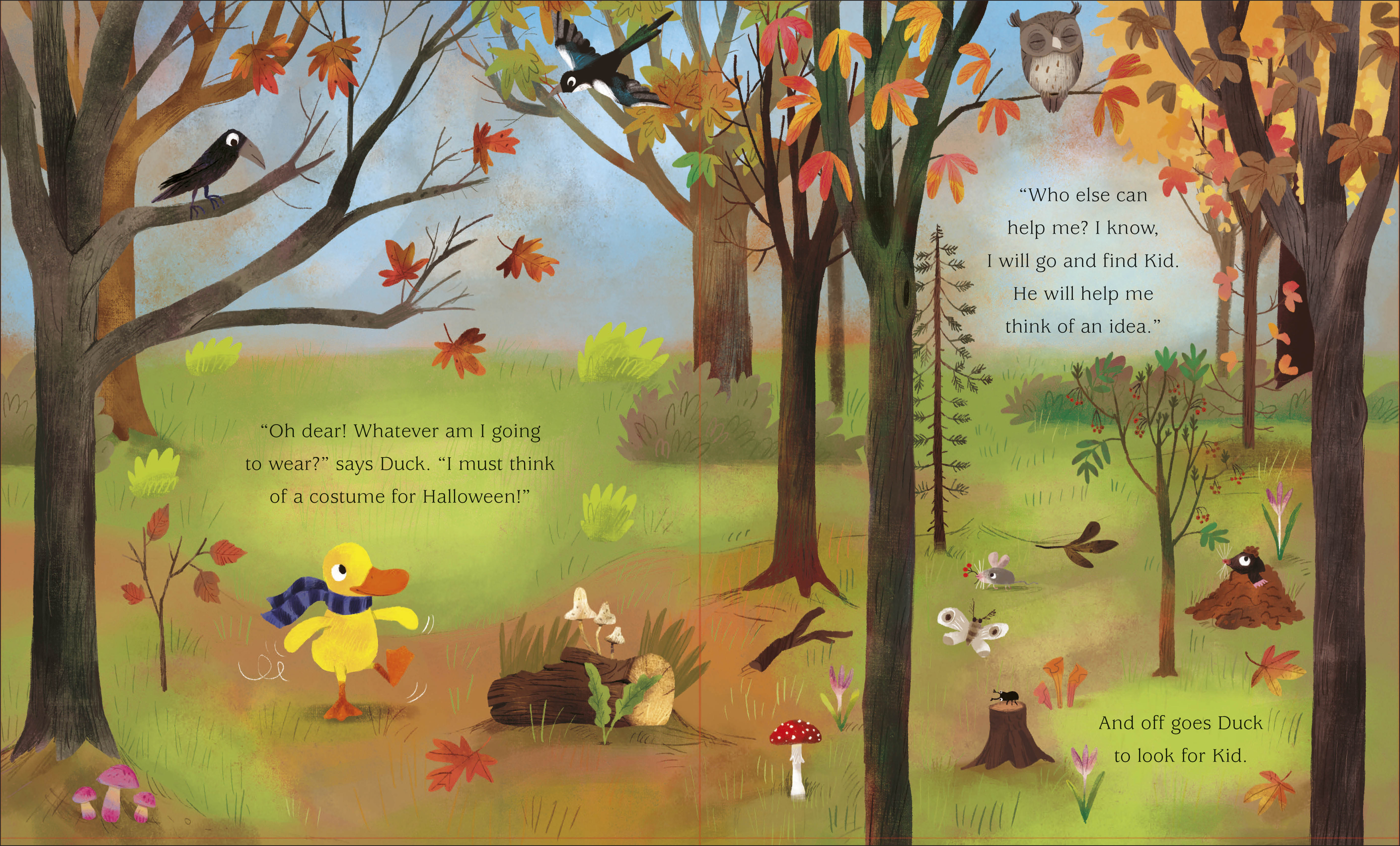 additional book photo