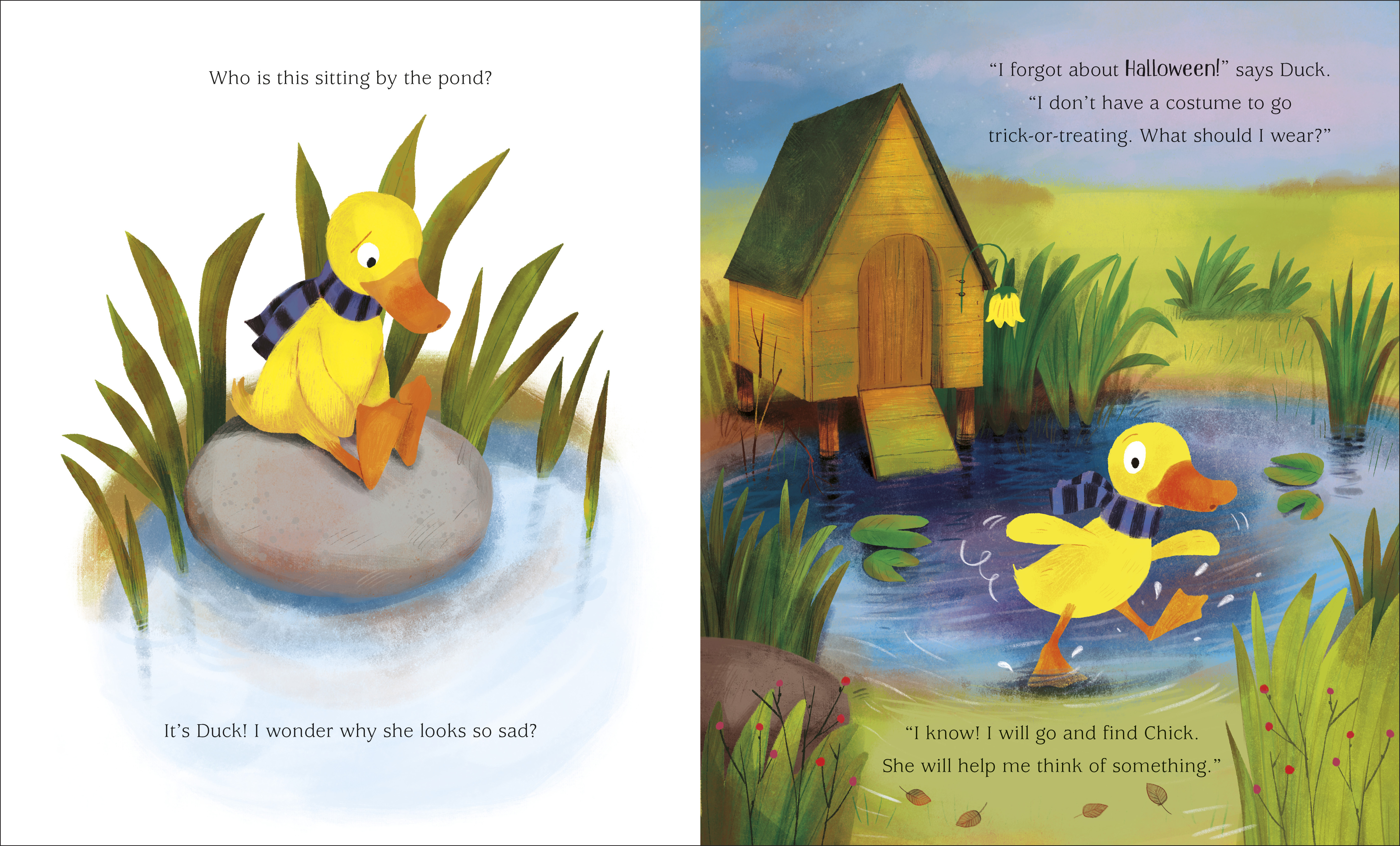 additional book photo