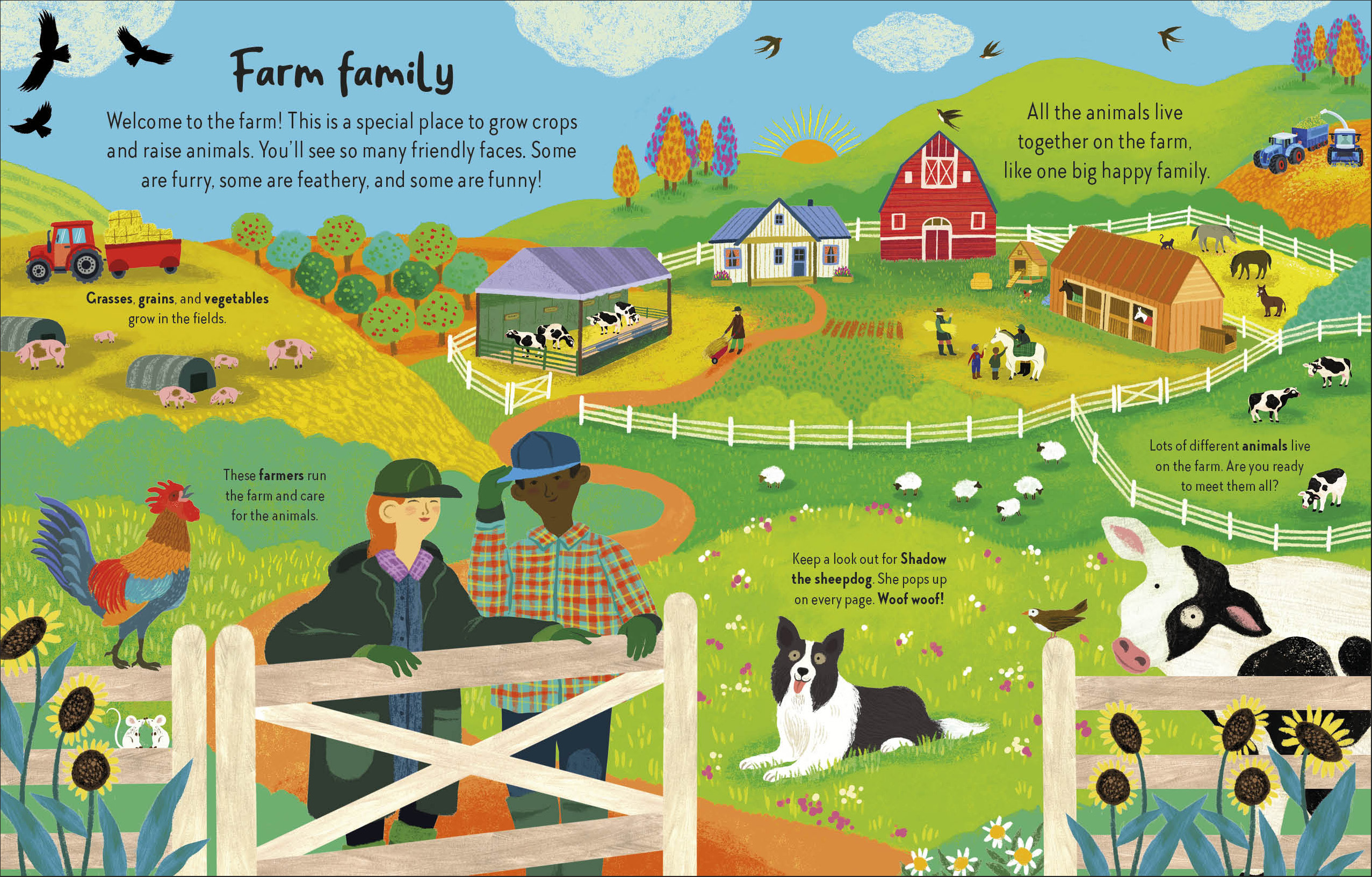 additional book photo