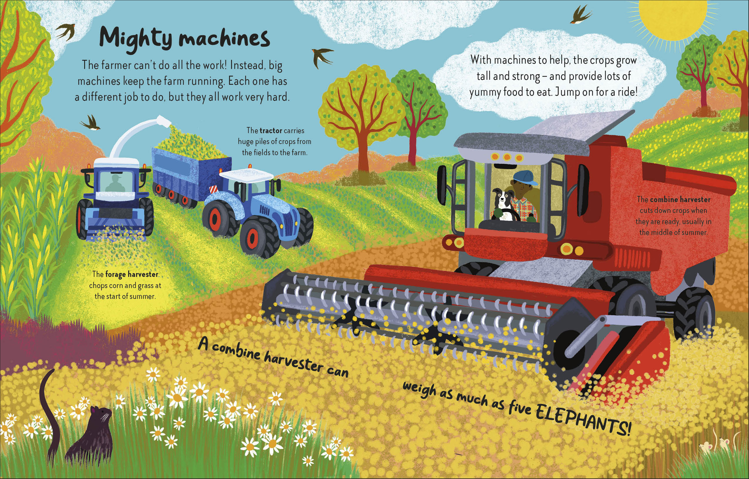 additional book photo