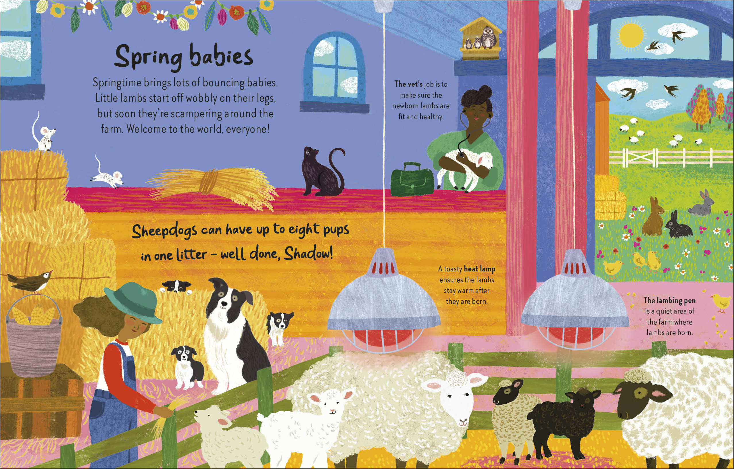 additional book photo