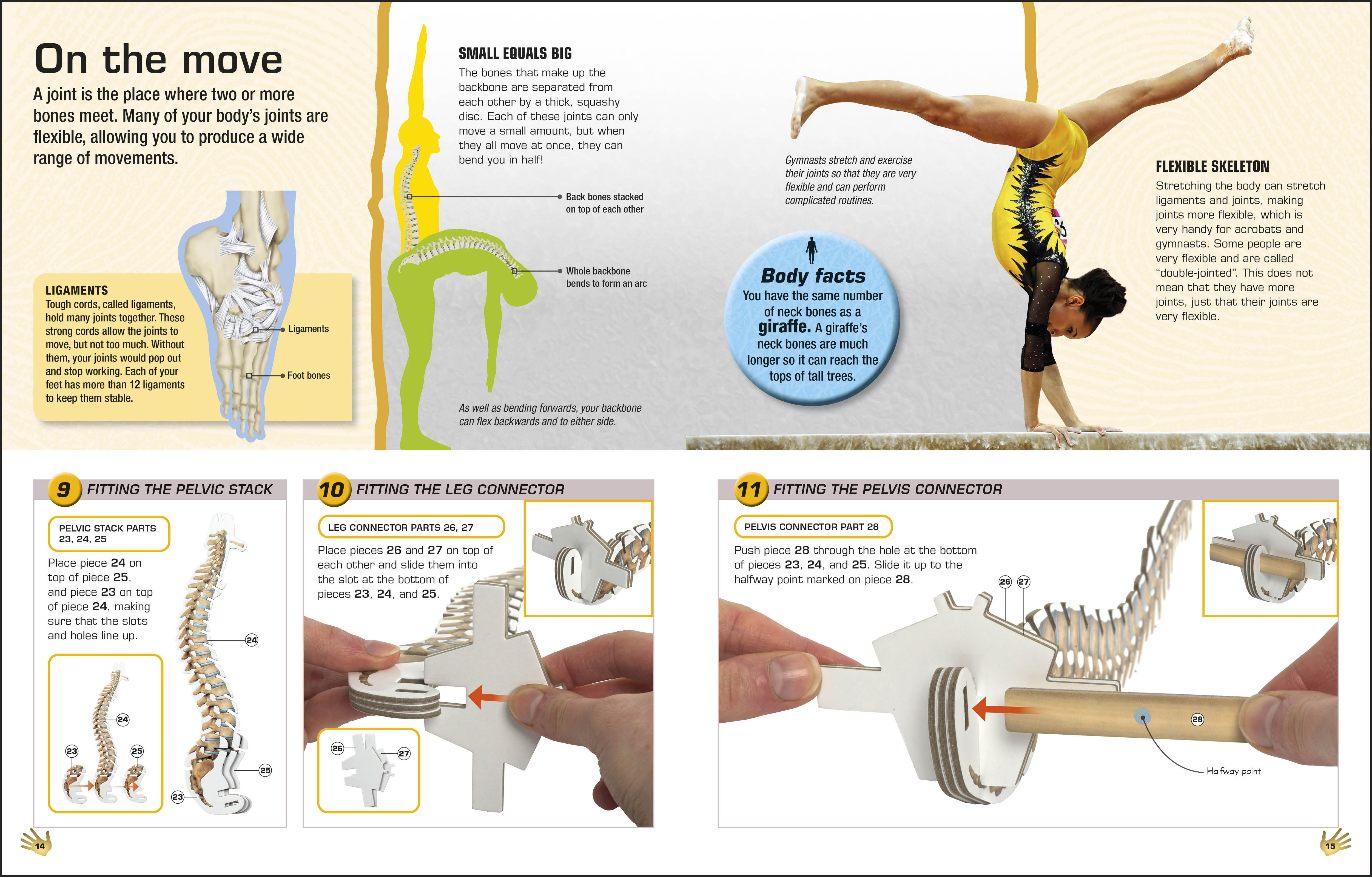 additional book photo