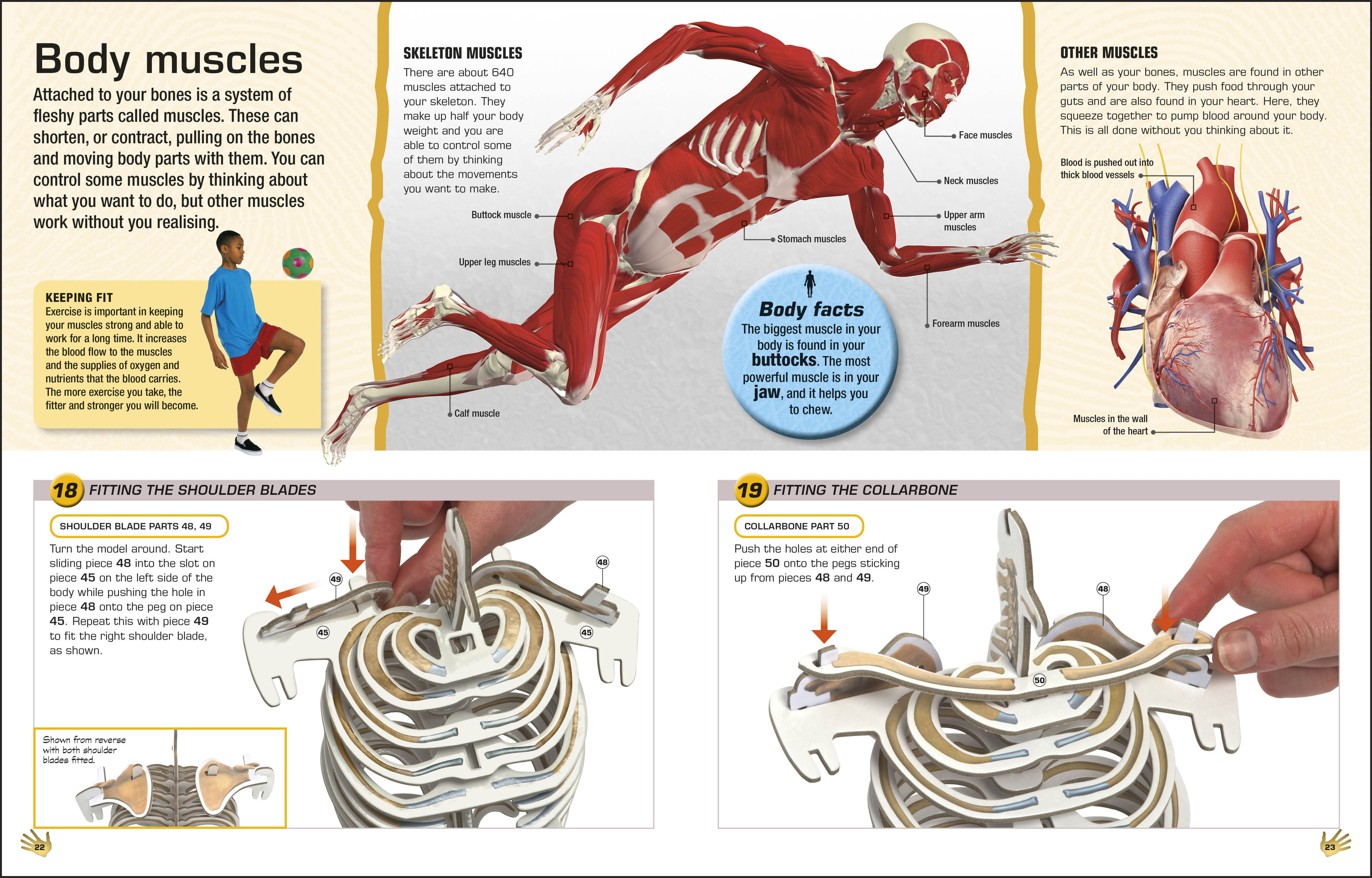 additional book photo