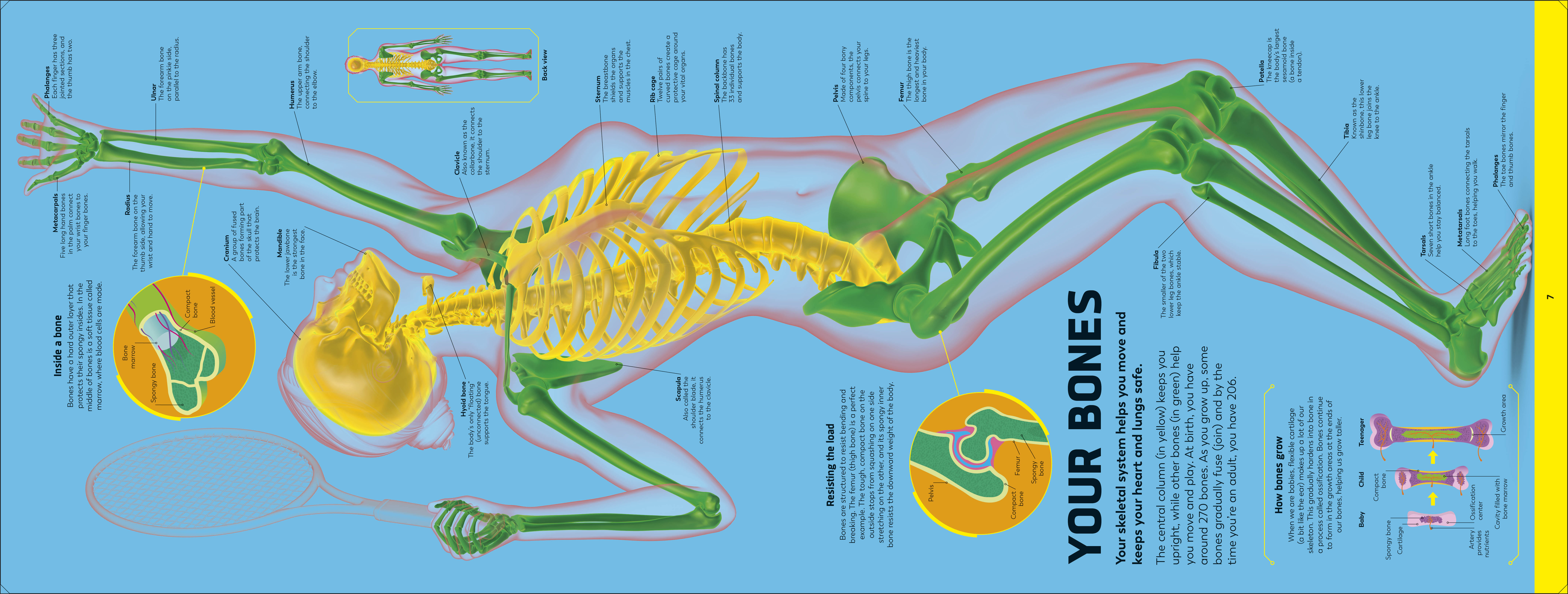 additional book photo