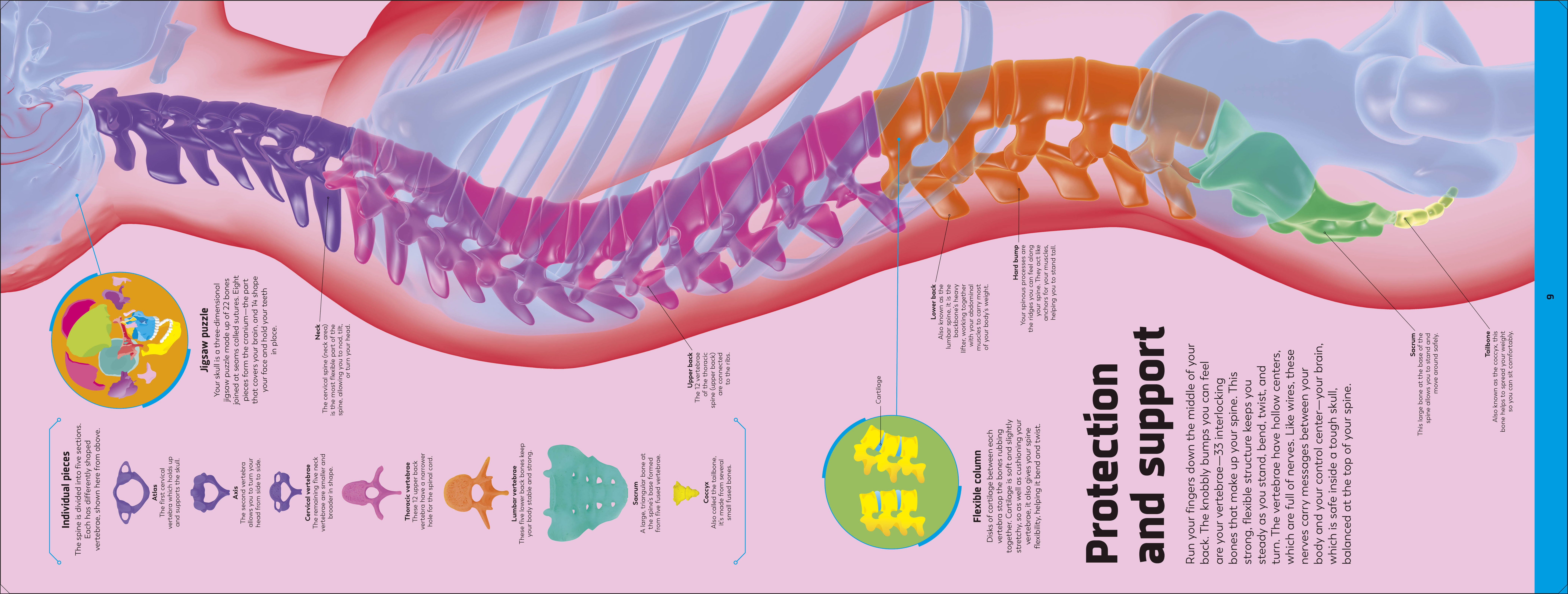 additional book photo