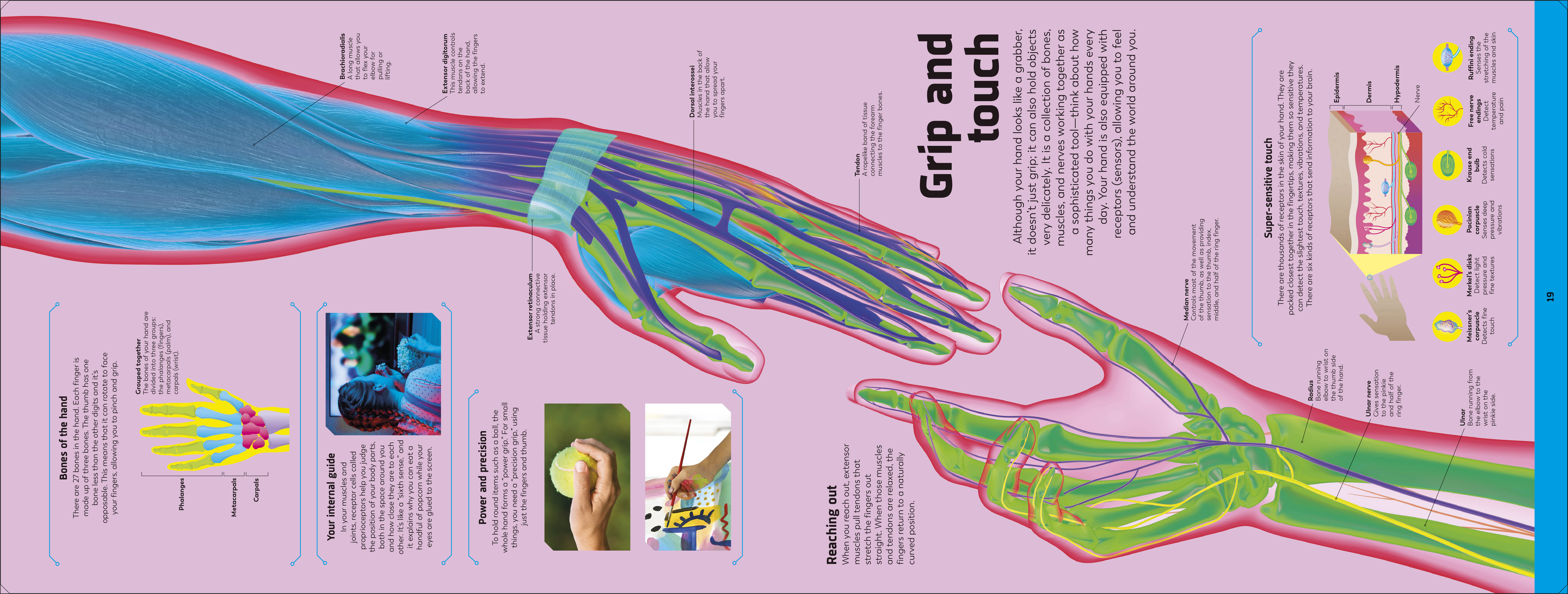 additional book photo