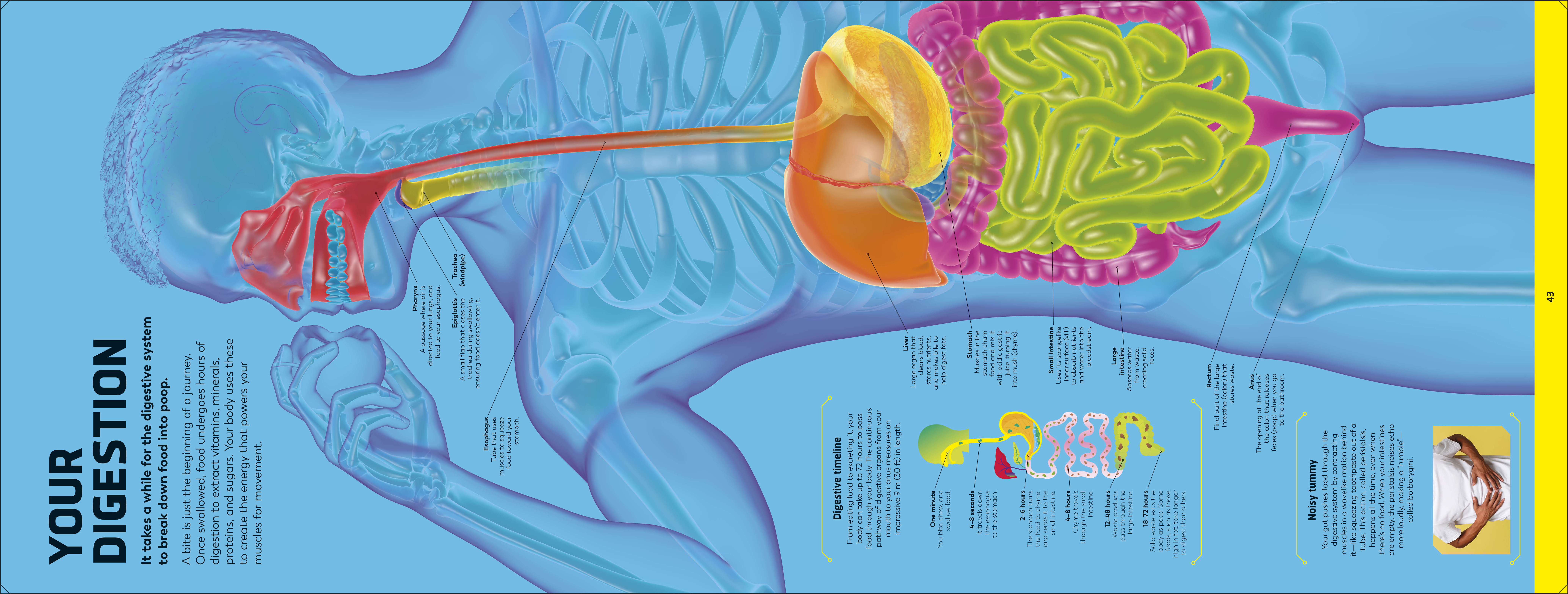 additional book photo