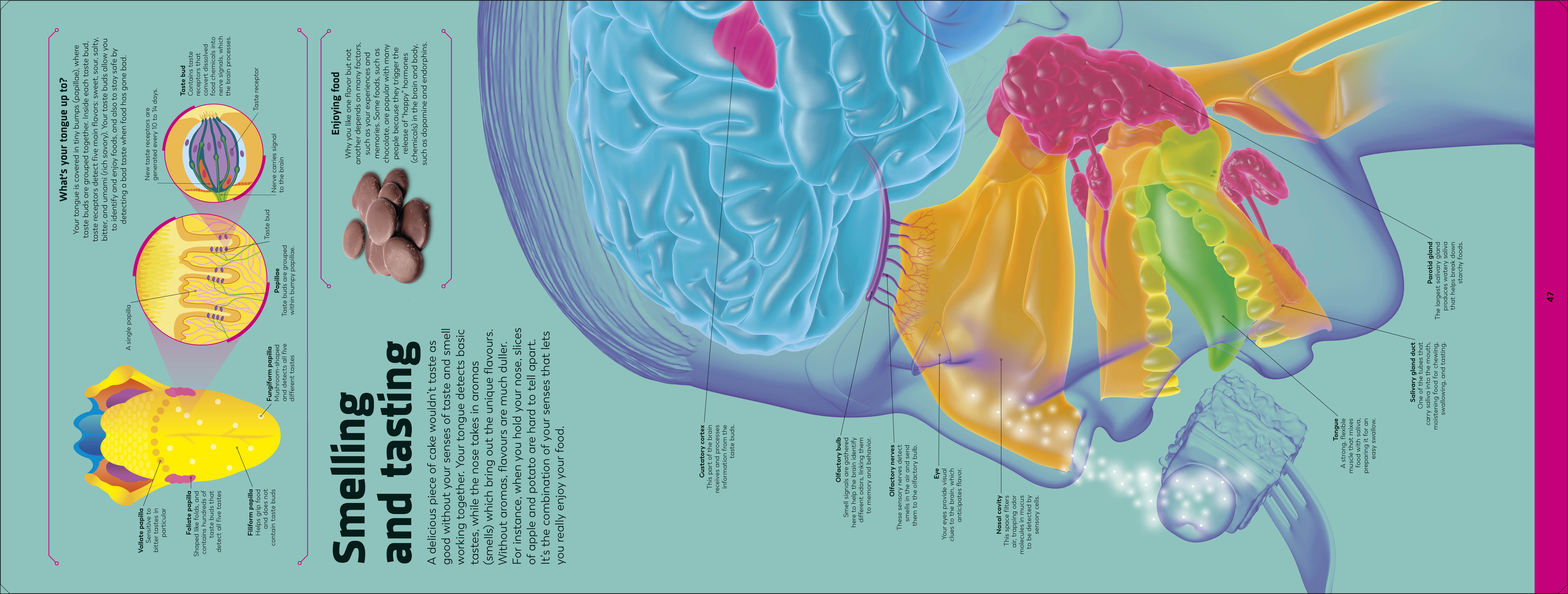 additional book photo