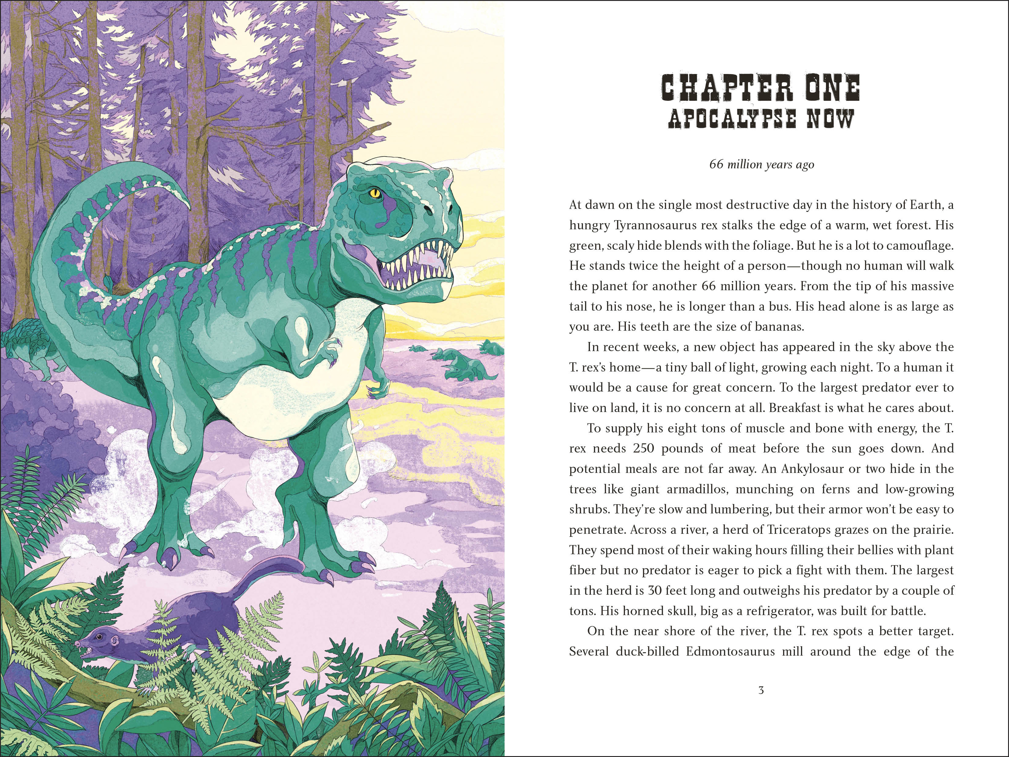 additional book photo