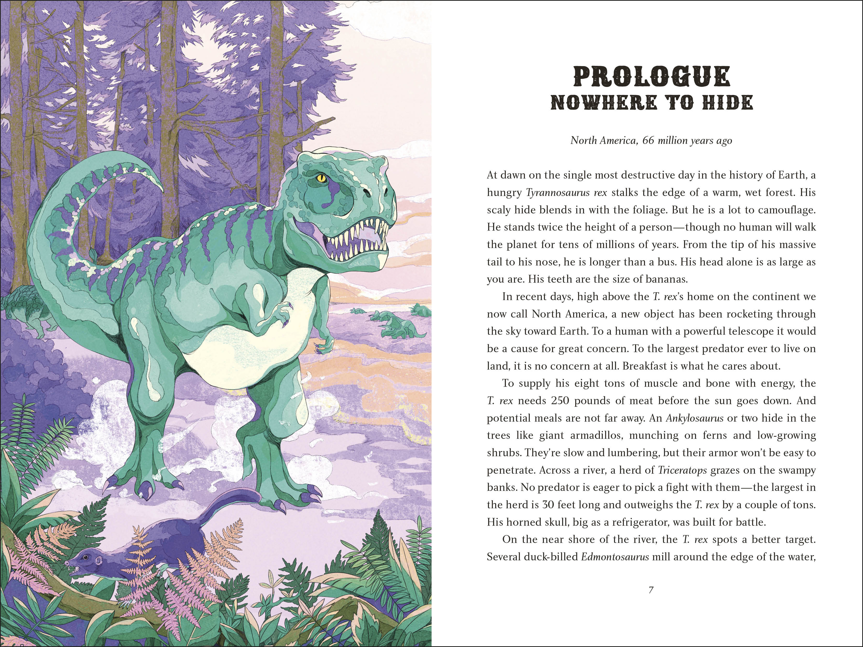 additional book photo