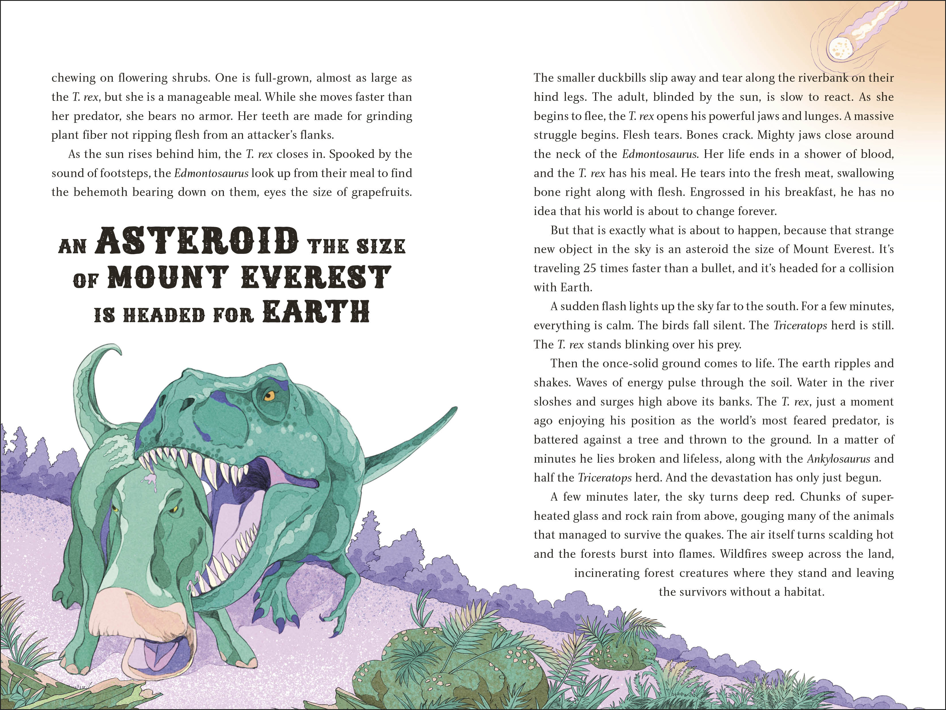 additional book photo