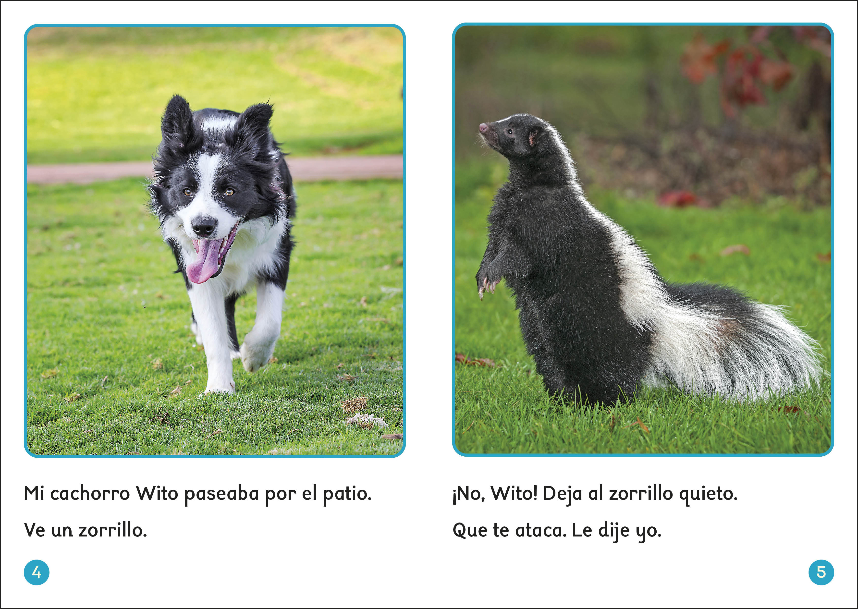 additional book photo