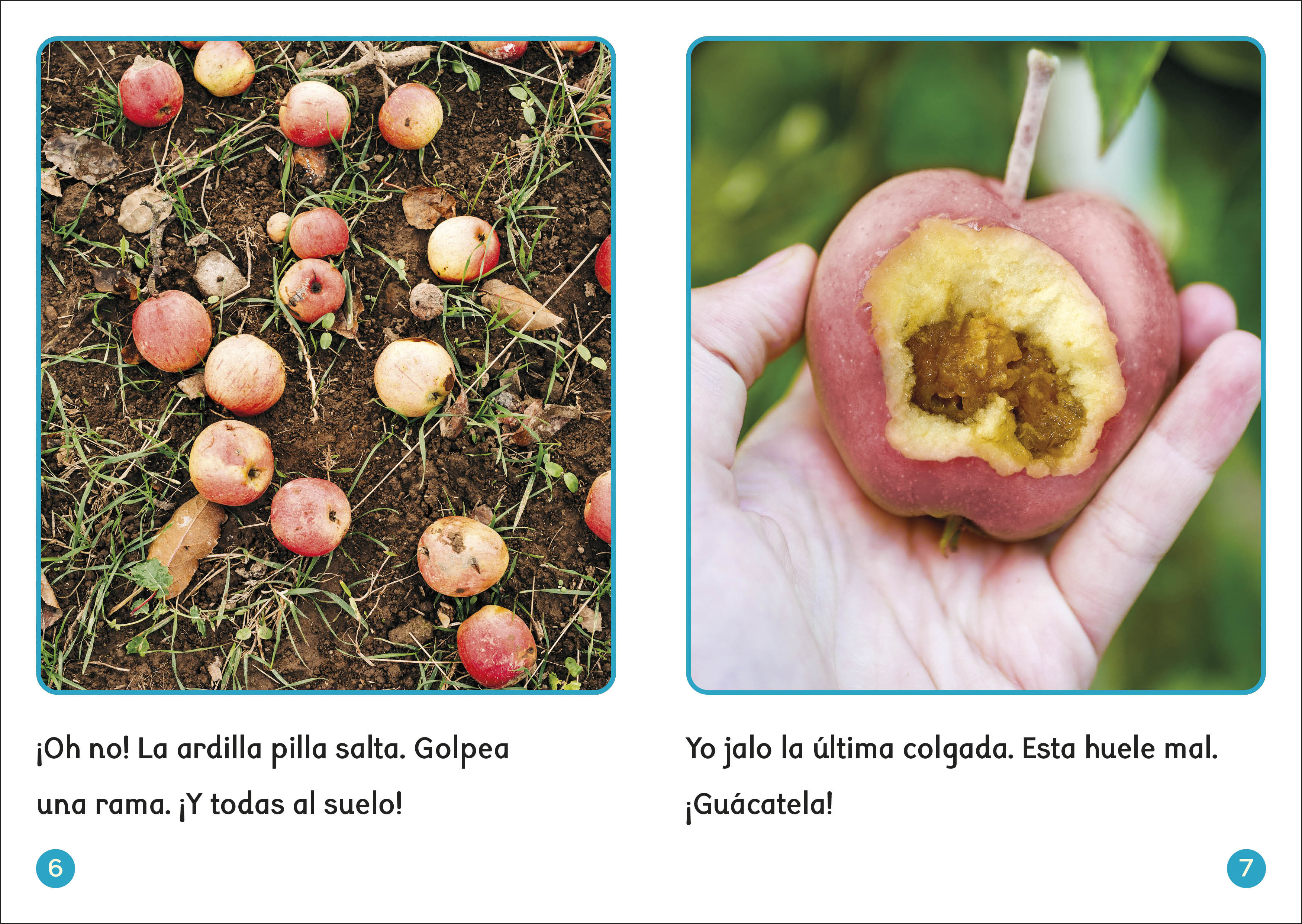 additional book photo