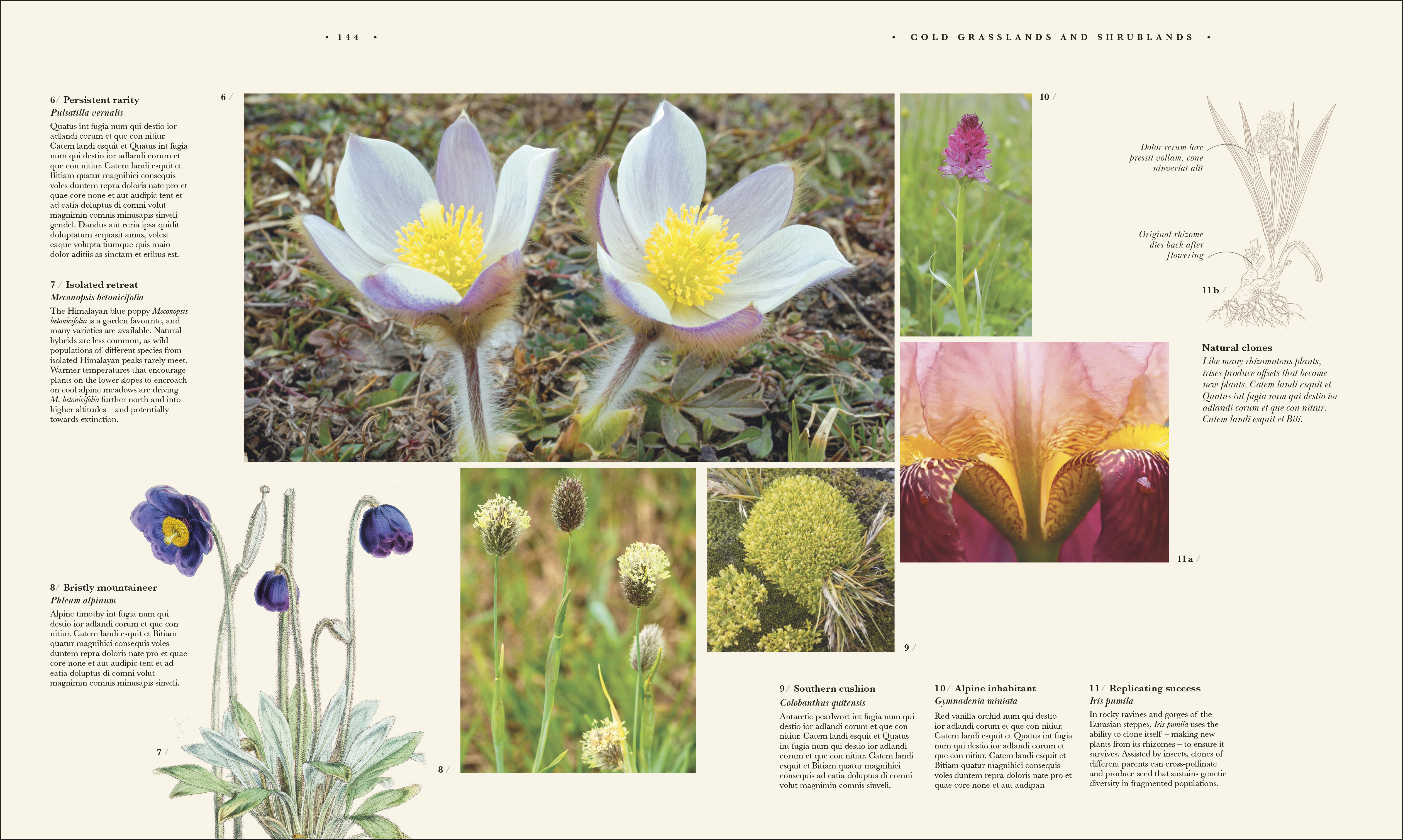 additional book photo