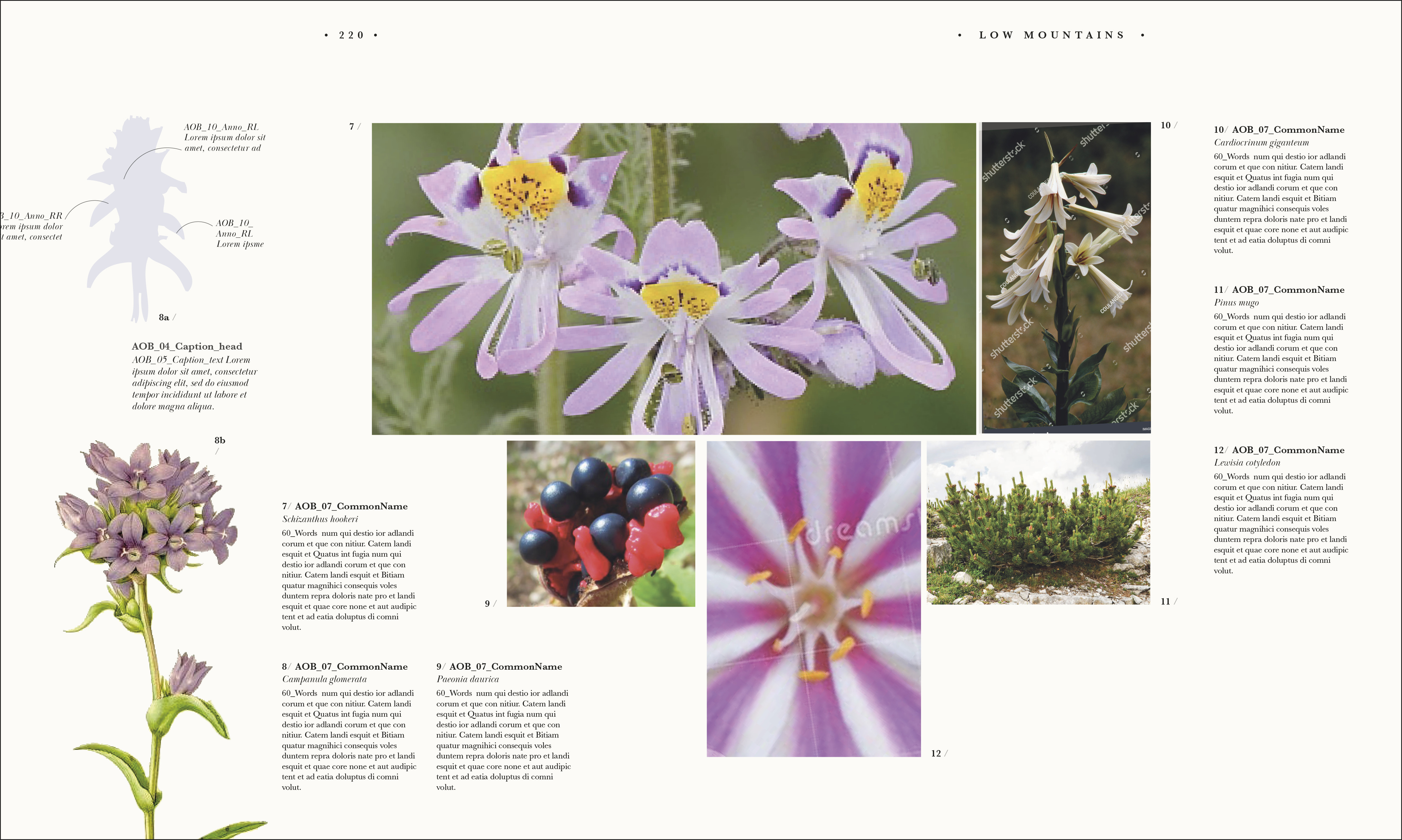 additional book photo