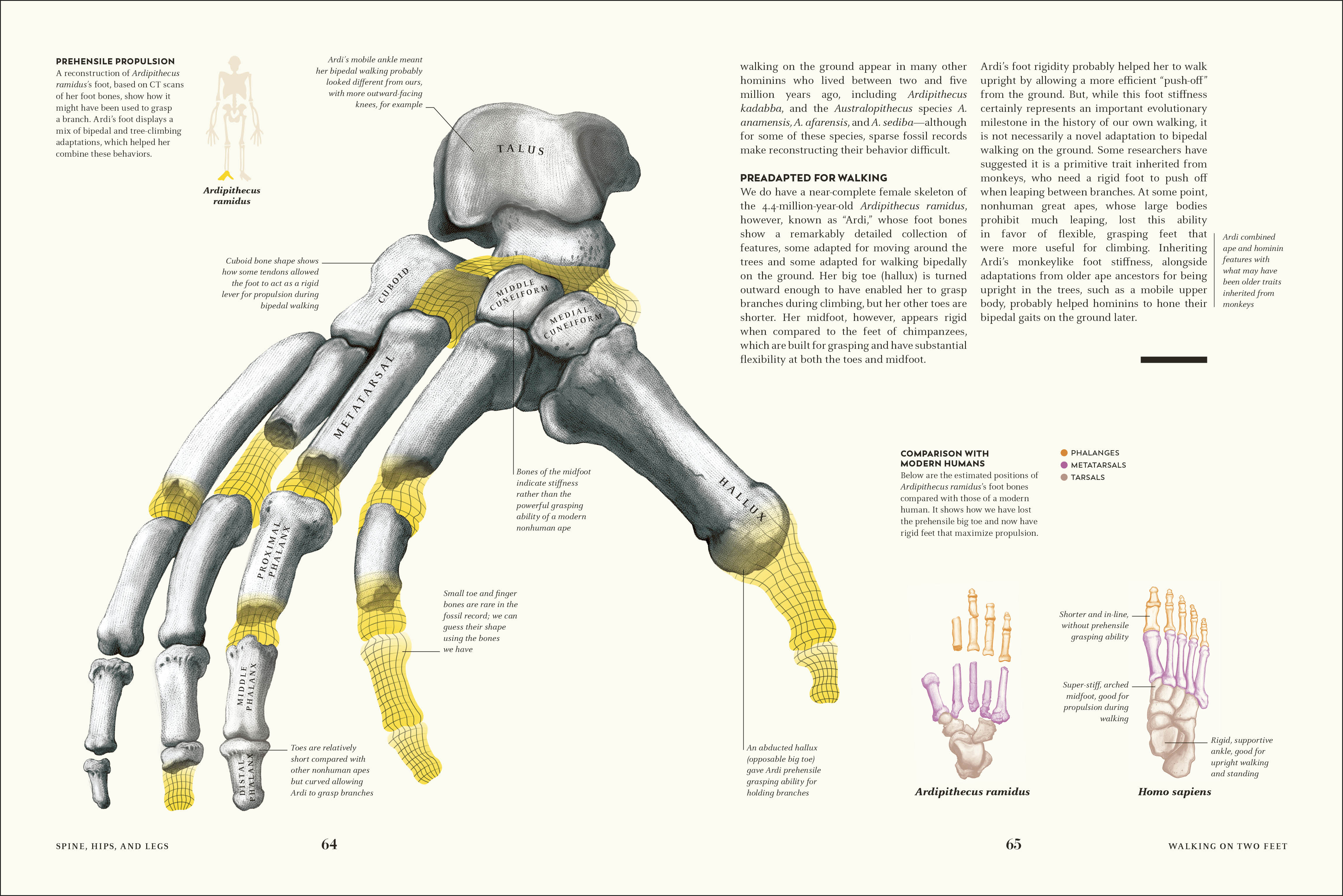 additional book photo