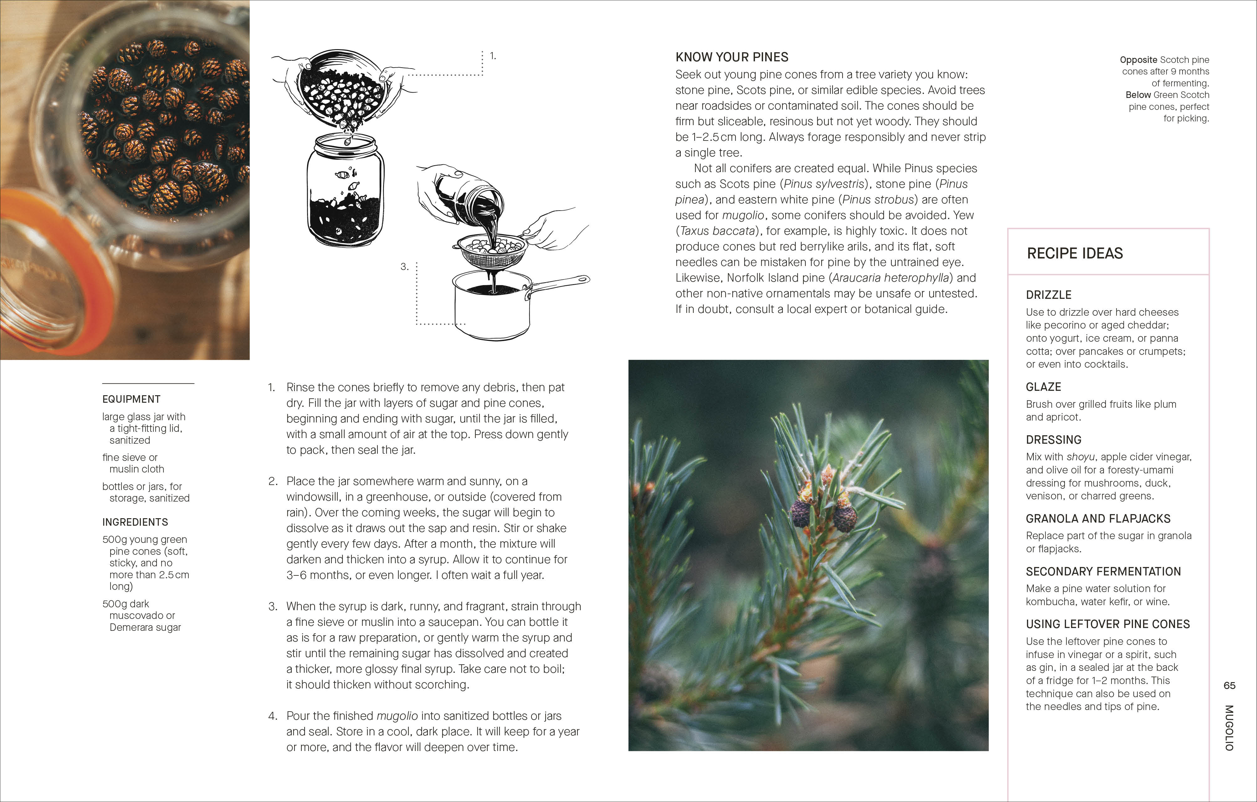 additional book photo