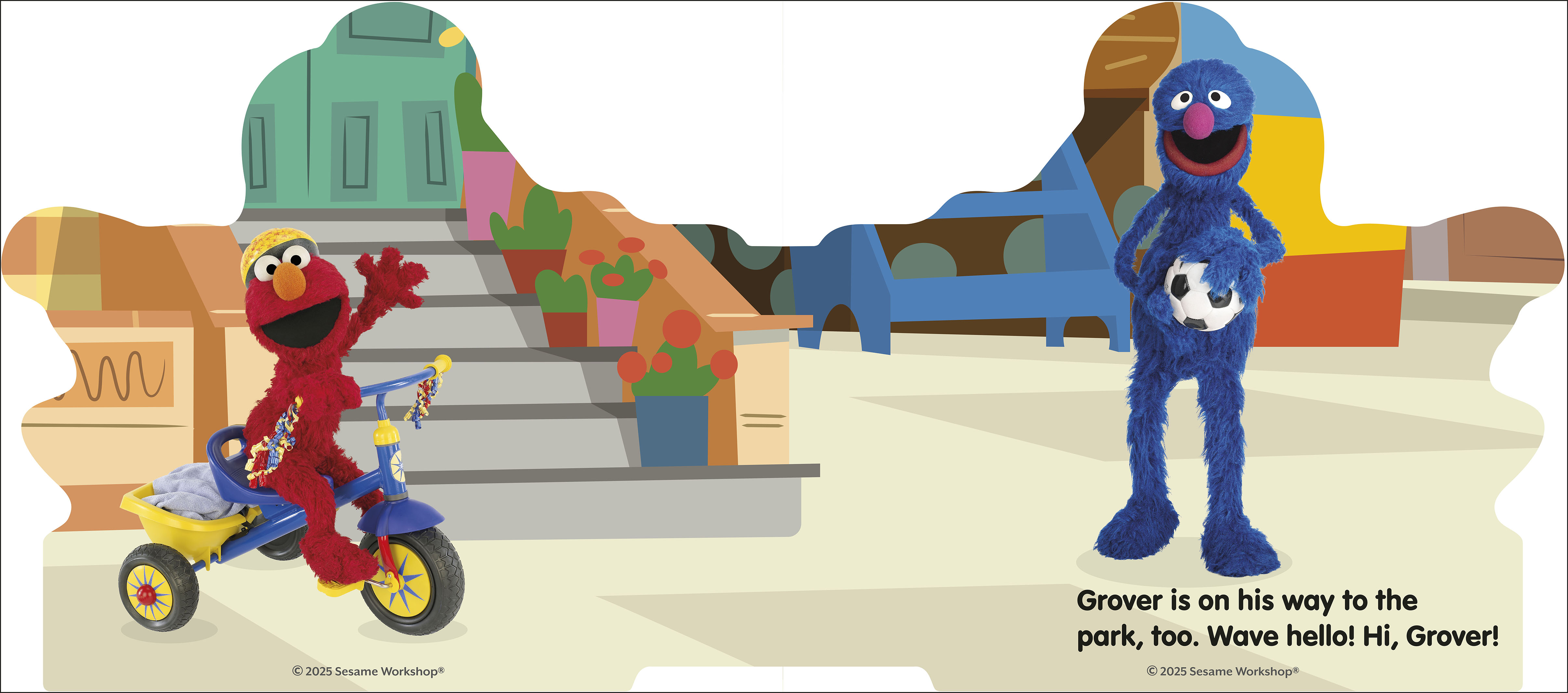 additional book photo