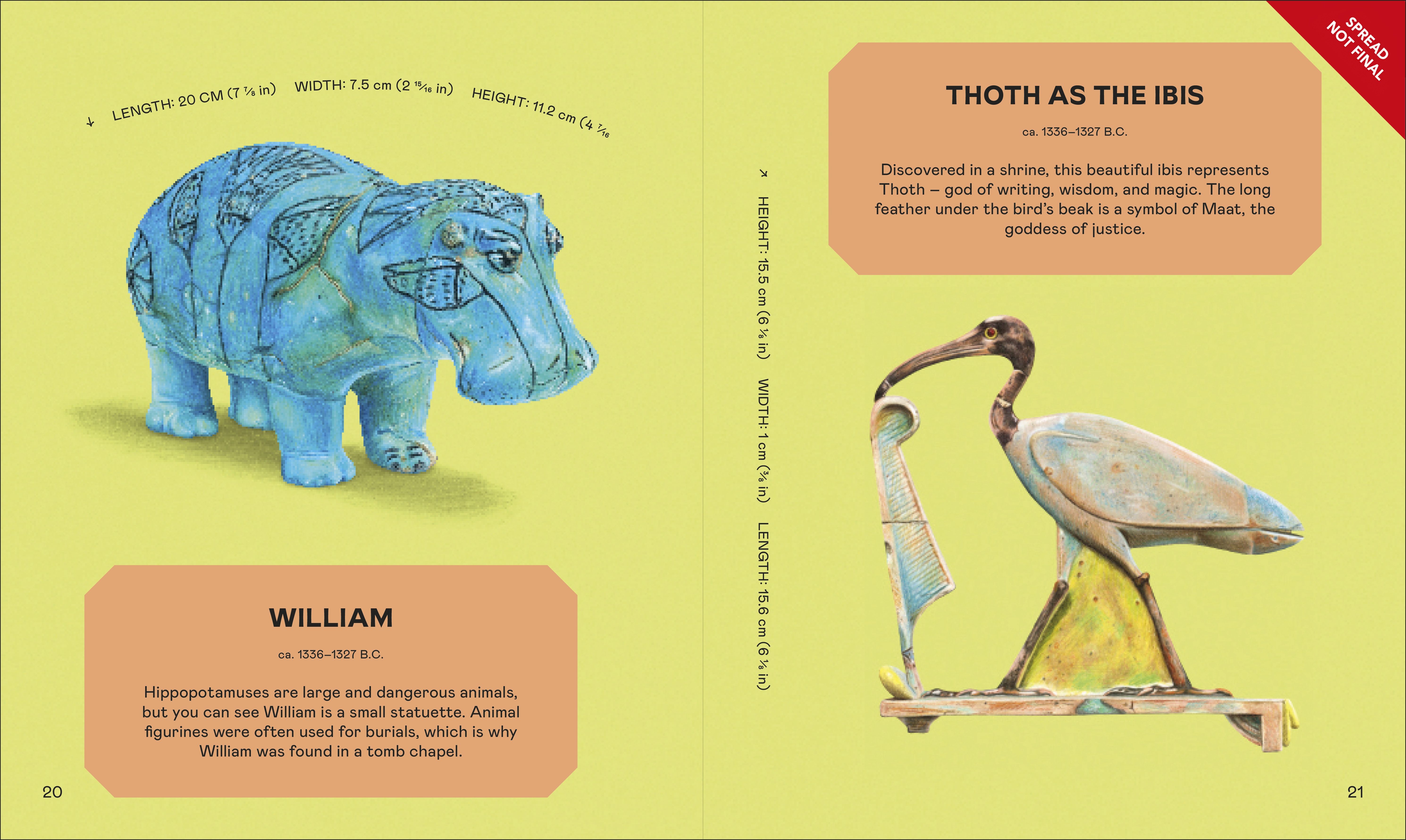 additional book photo