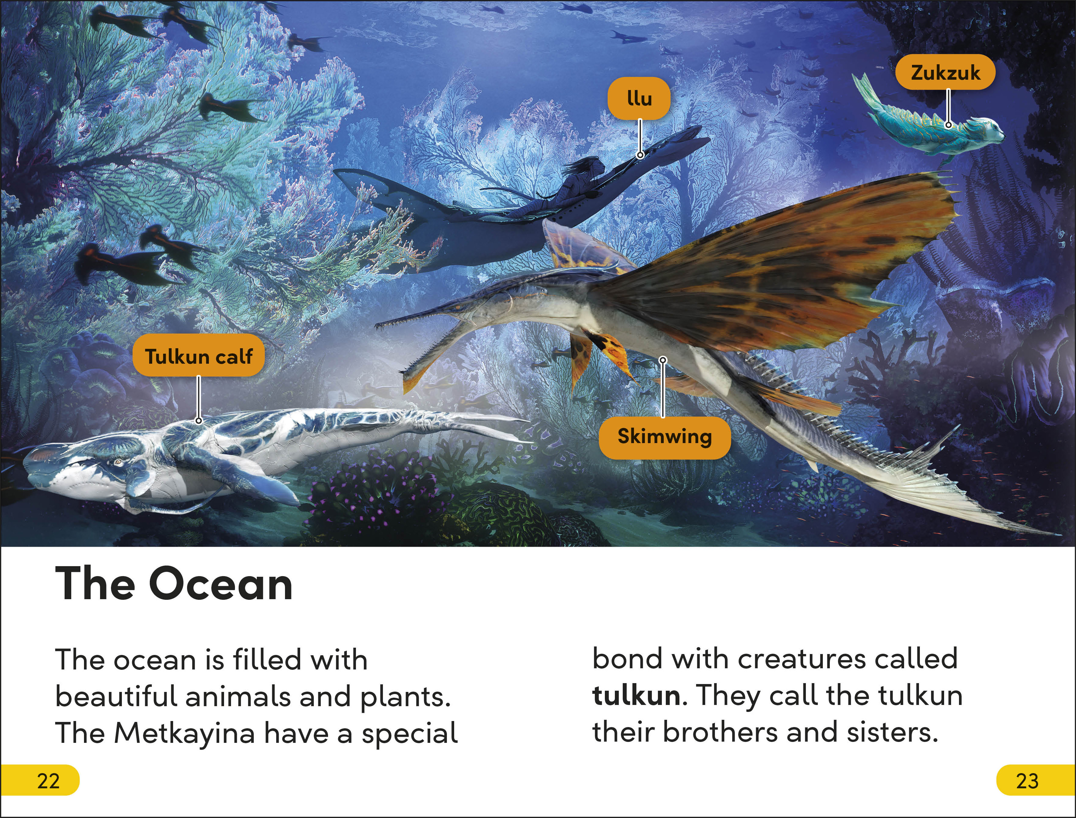 additional book photo