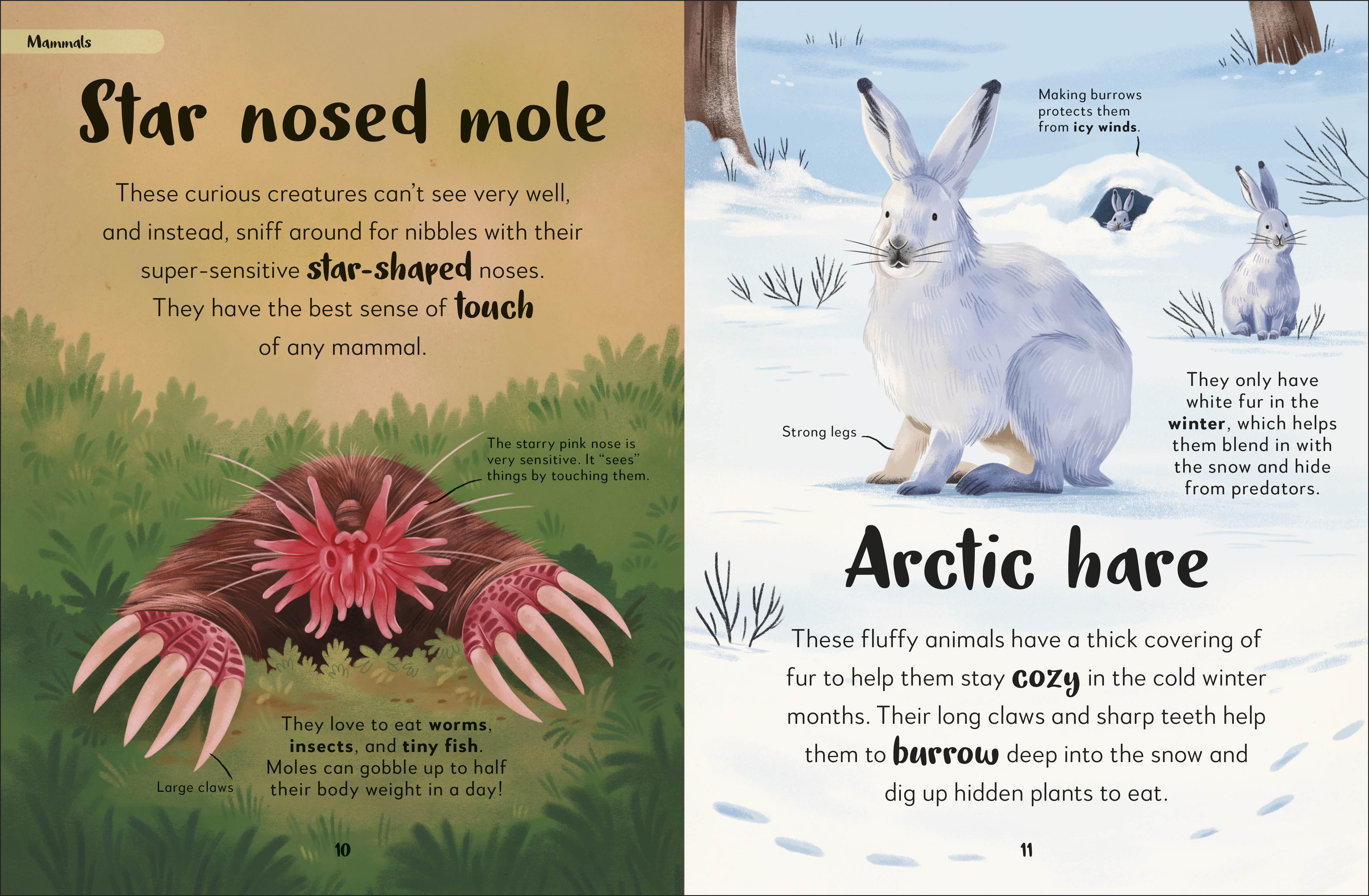 additional book photo