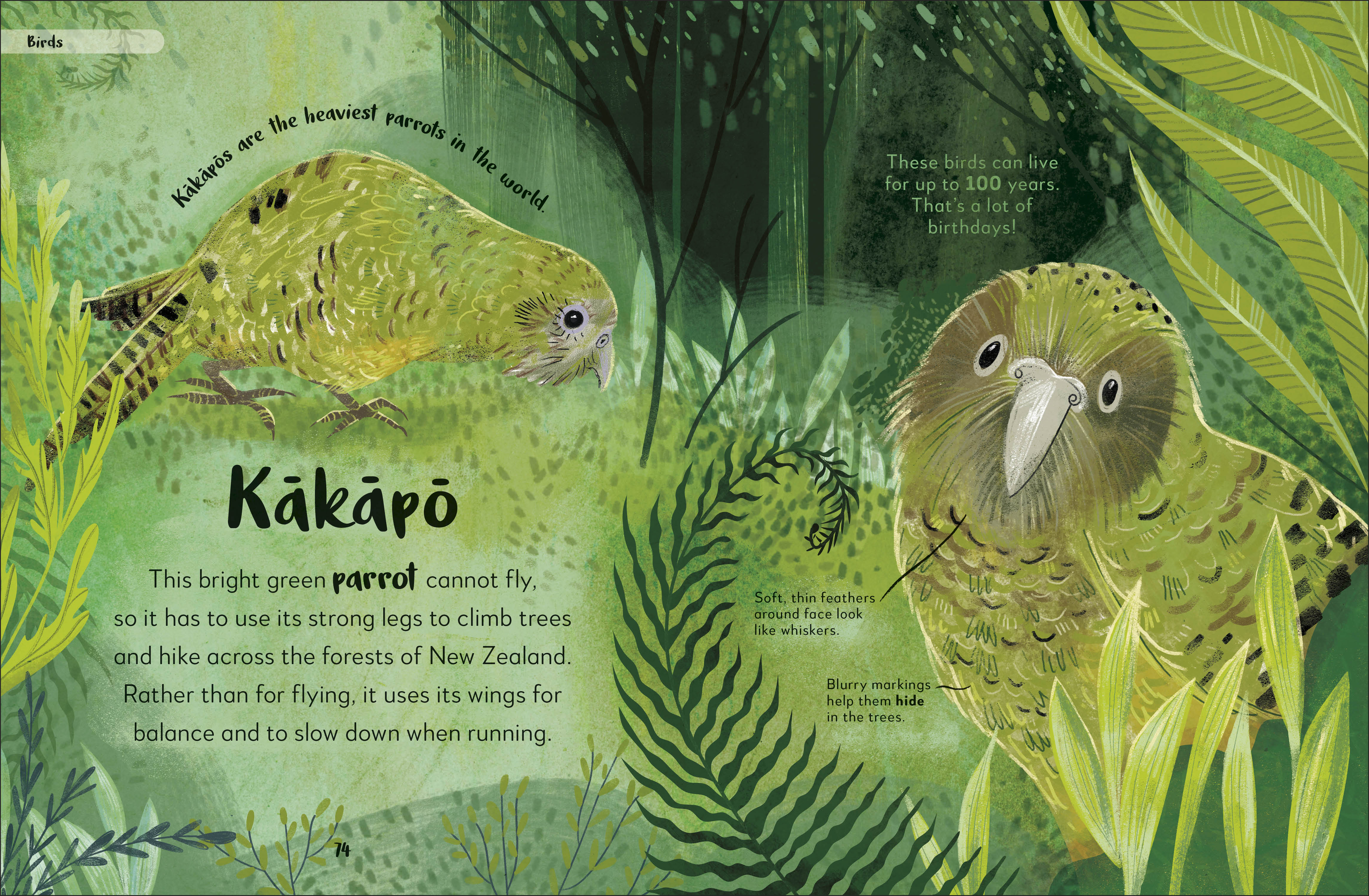 additional book photo