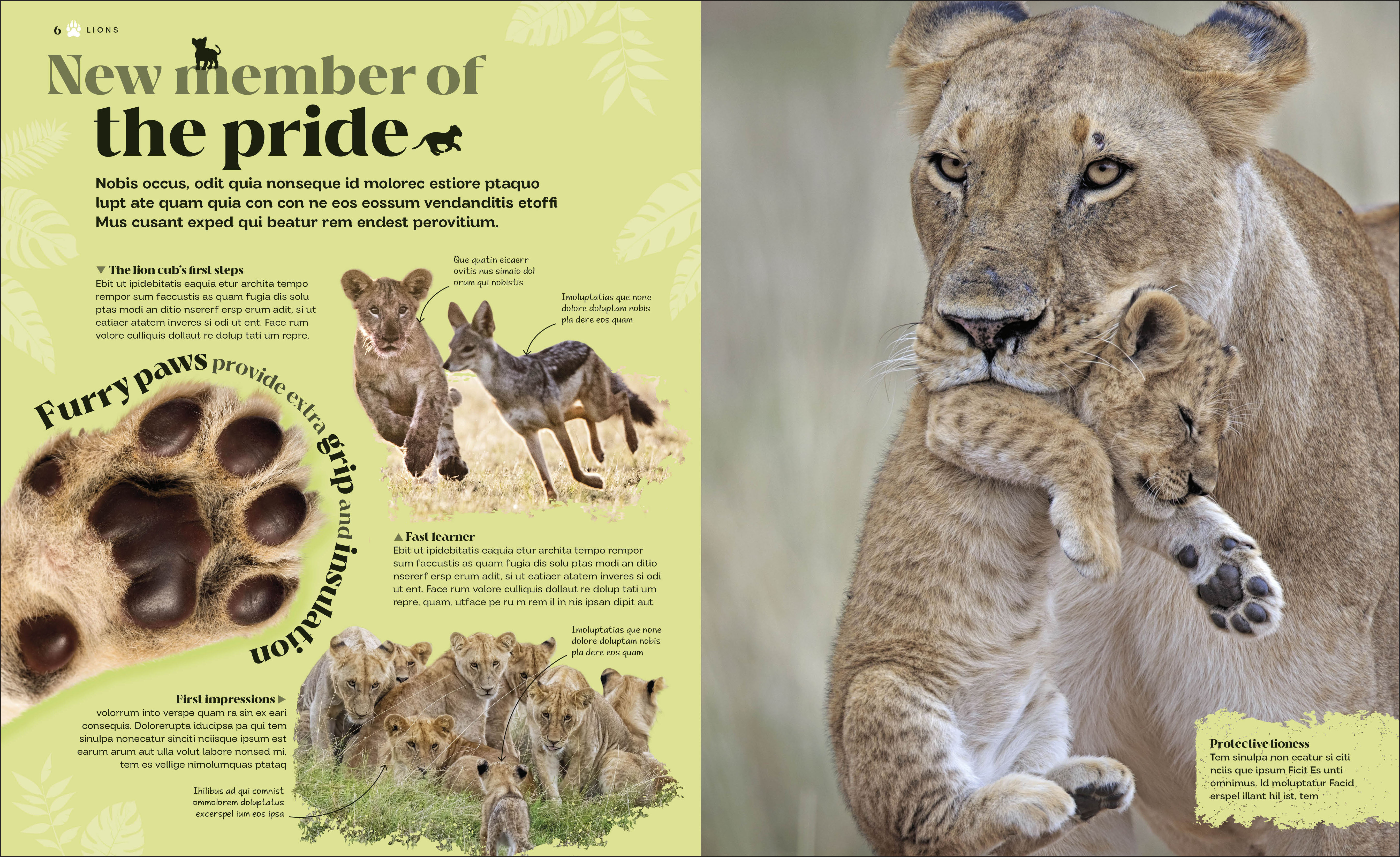 additional book photo